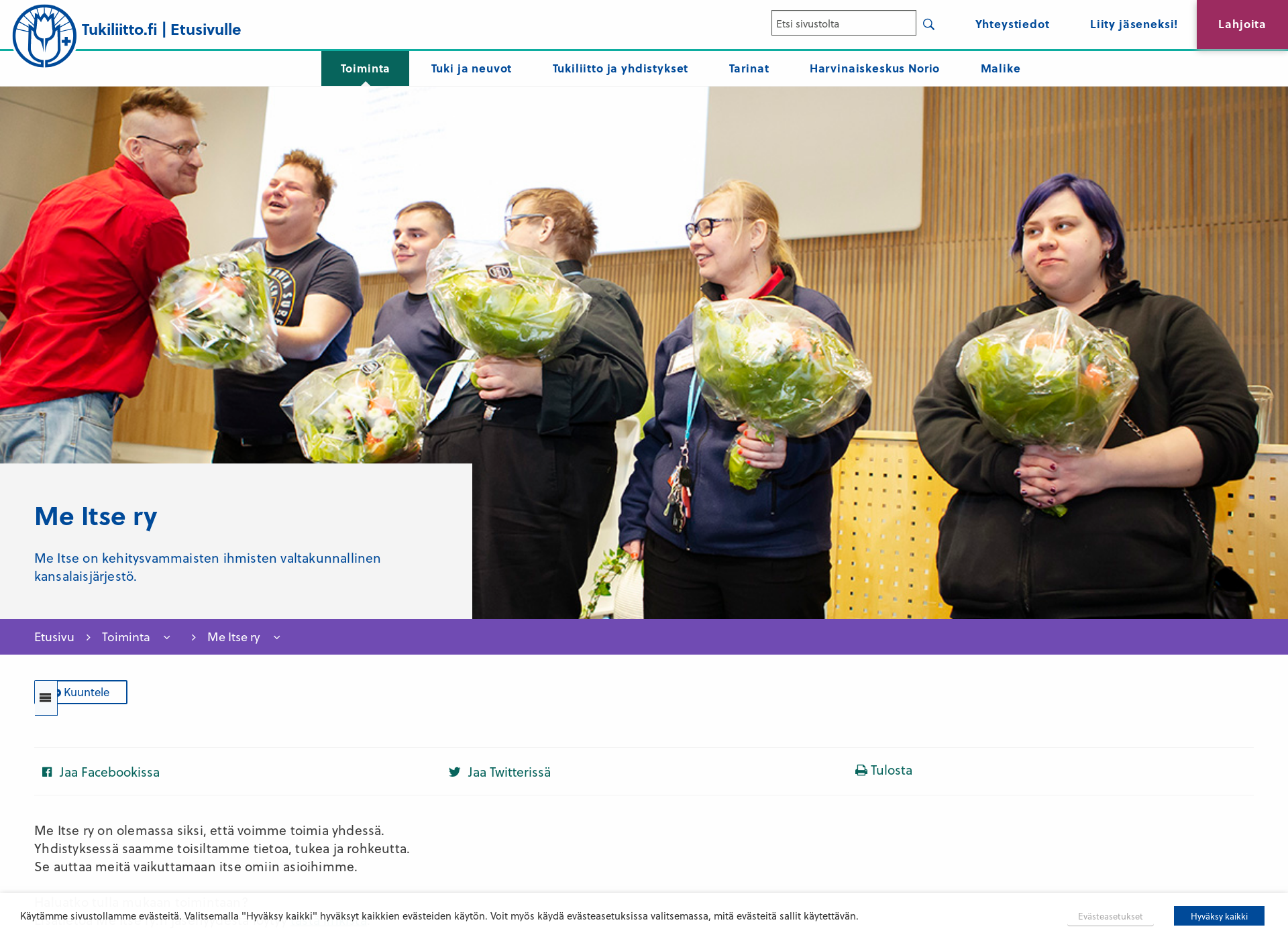 Screenshot for meitse.fi