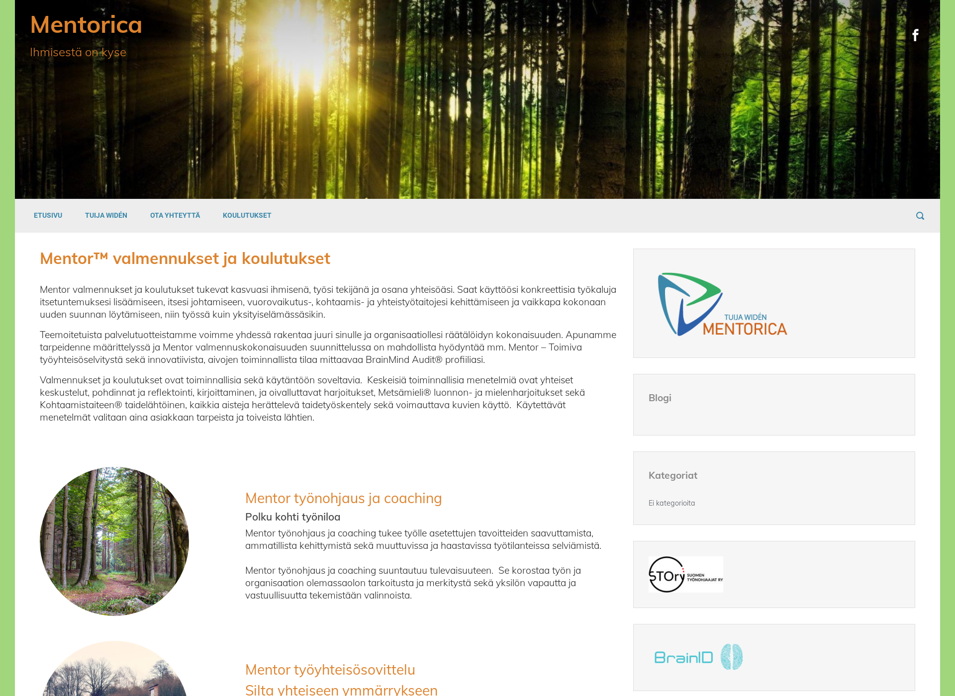 Screenshot for mentorica.fi