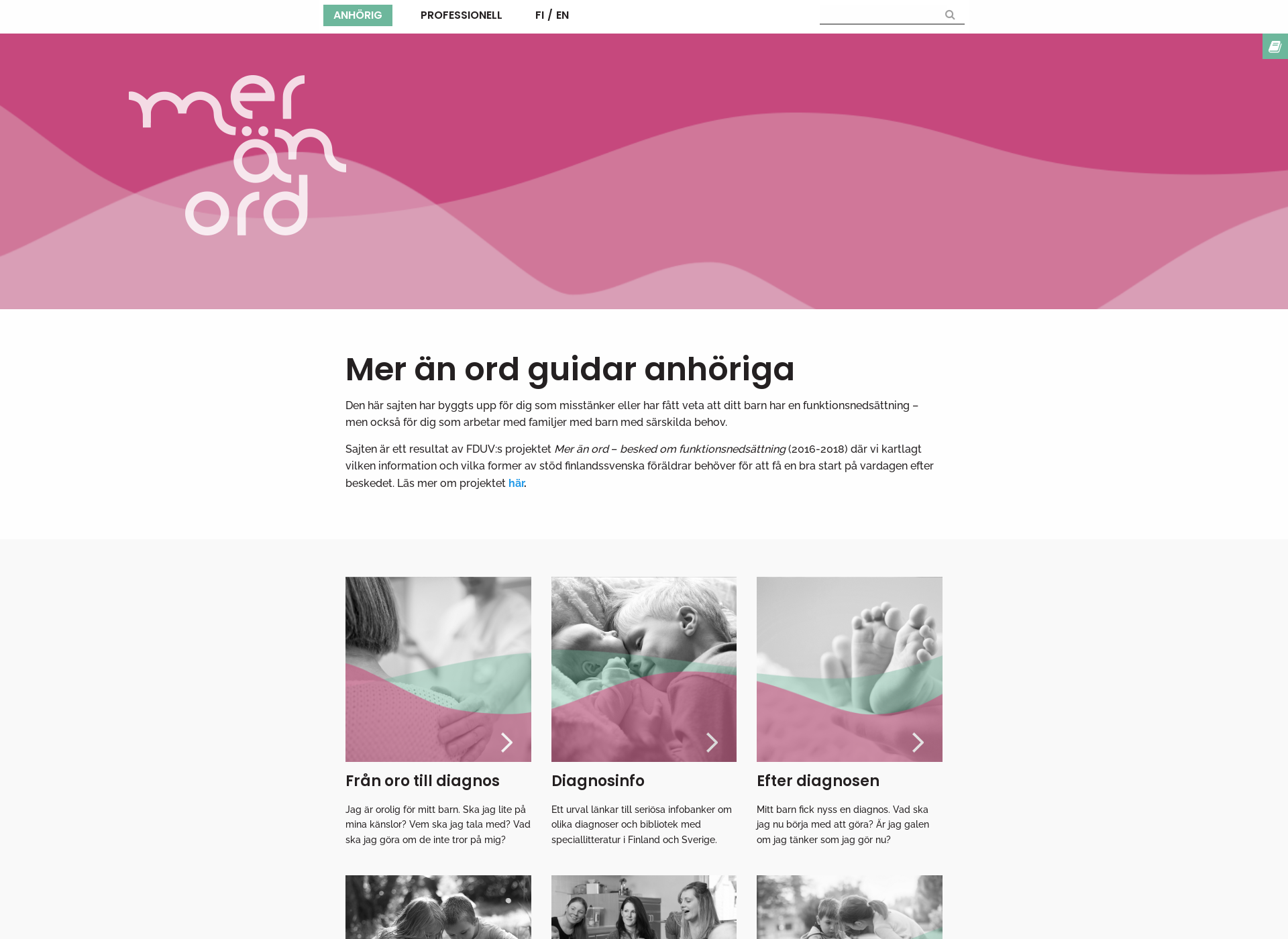 Screenshot for meranord.fi