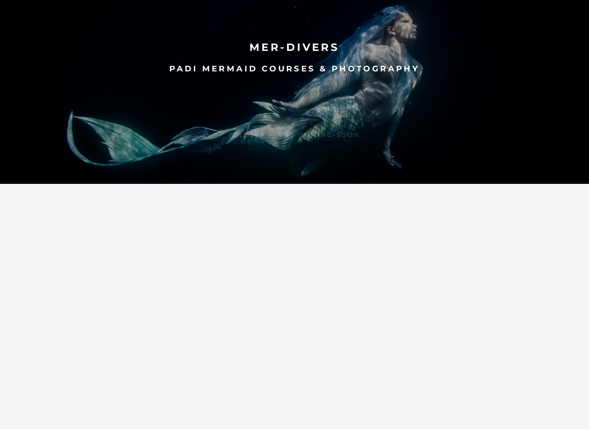 Screenshot for merdivers.fi