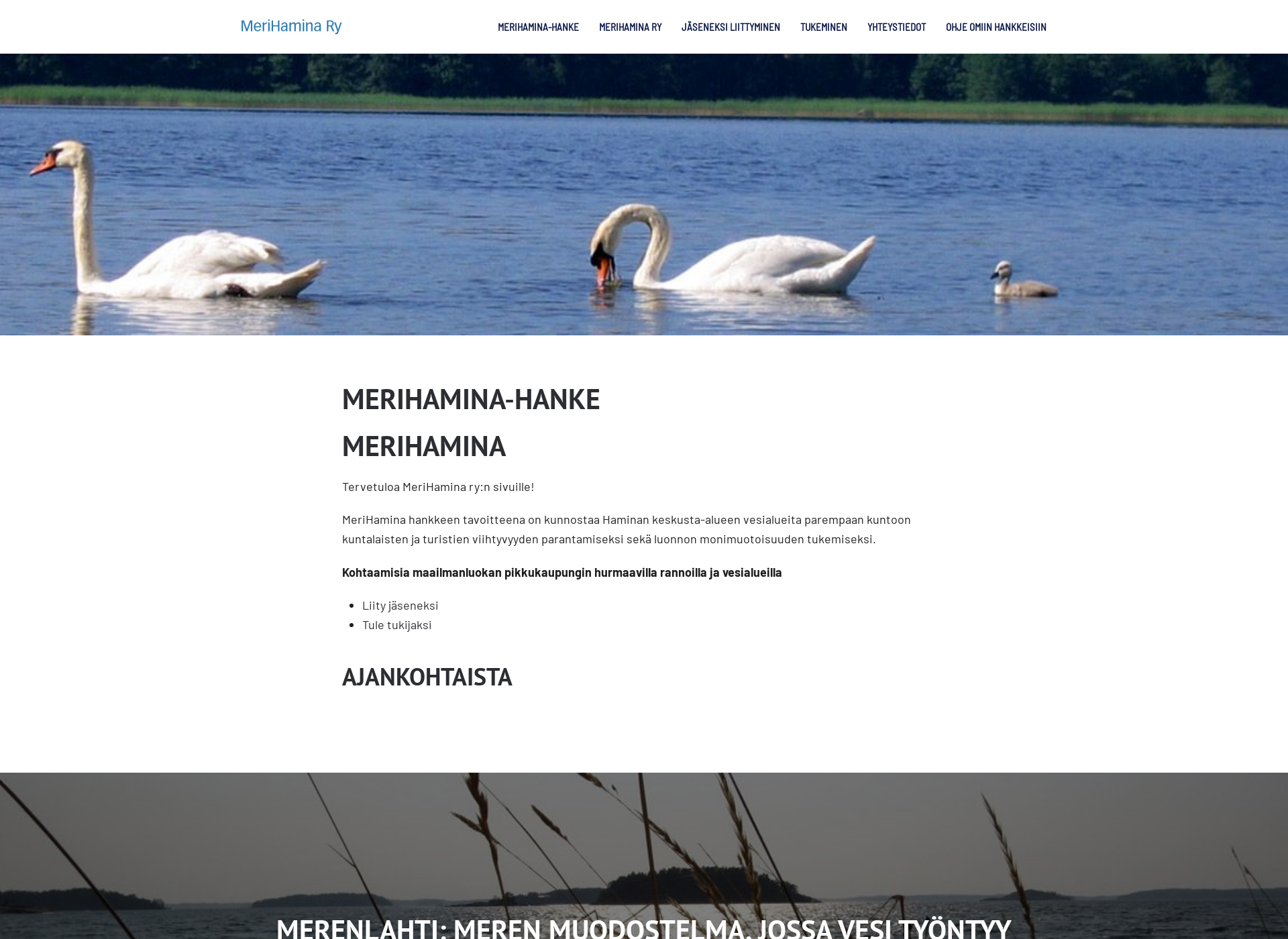 Skärmdump för merihamina.fi