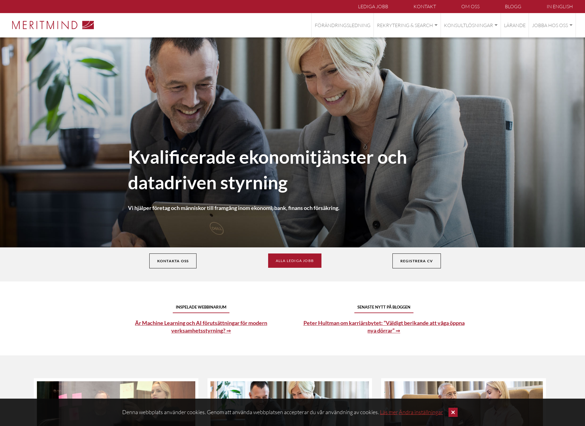 Screenshot for meritmind.fi