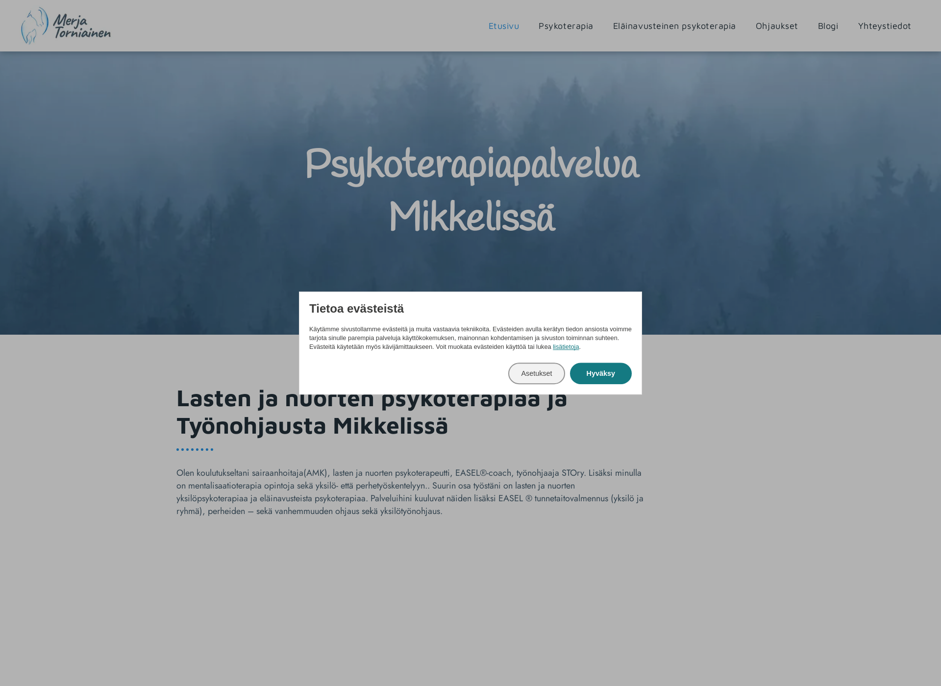 Screenshot for merjatorniainen.fi