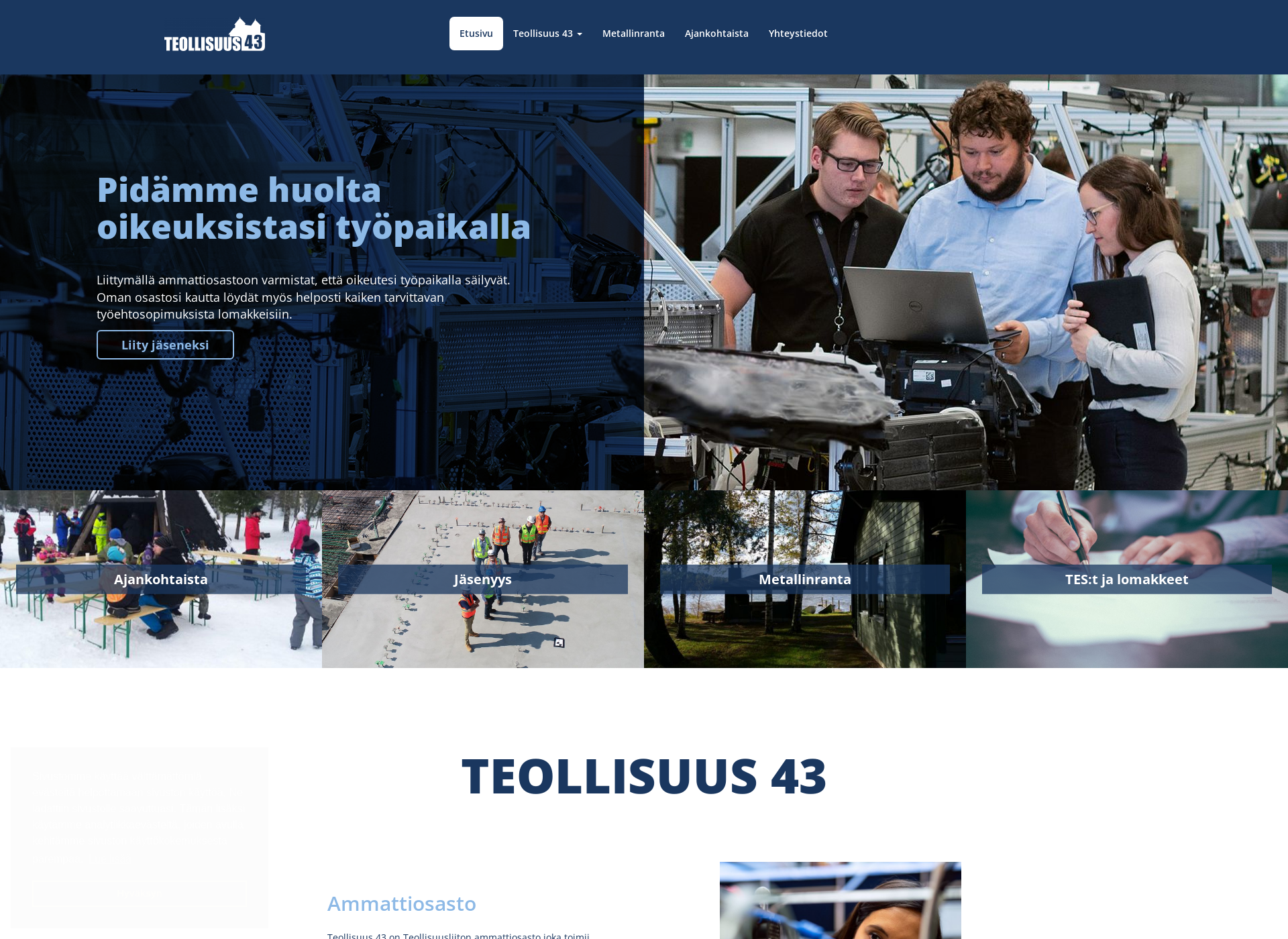 Screenshot for metalli43.fi
