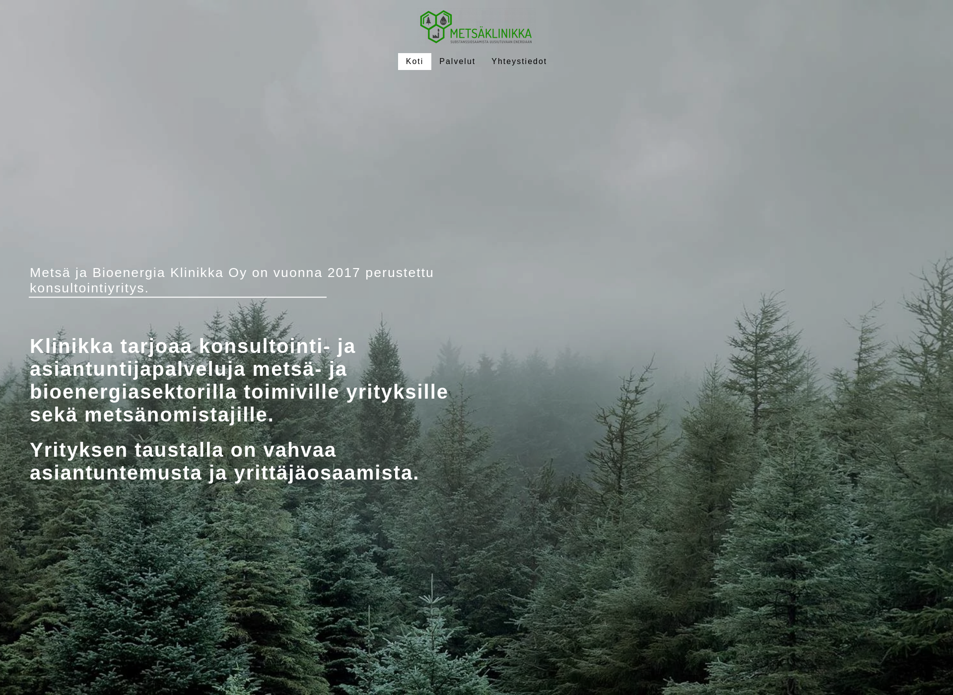 Screenshot for metsaklinikka.fi