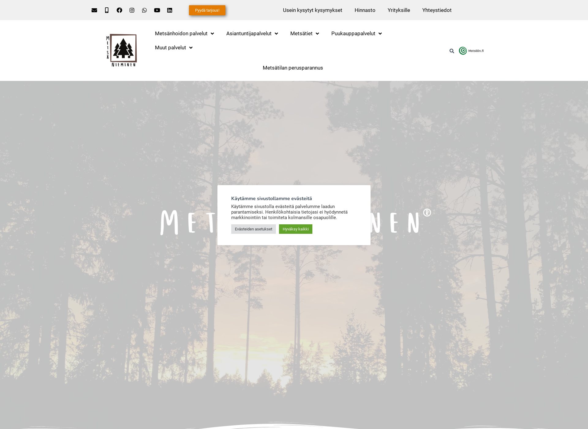 Screenshot for metsanieminen.fi