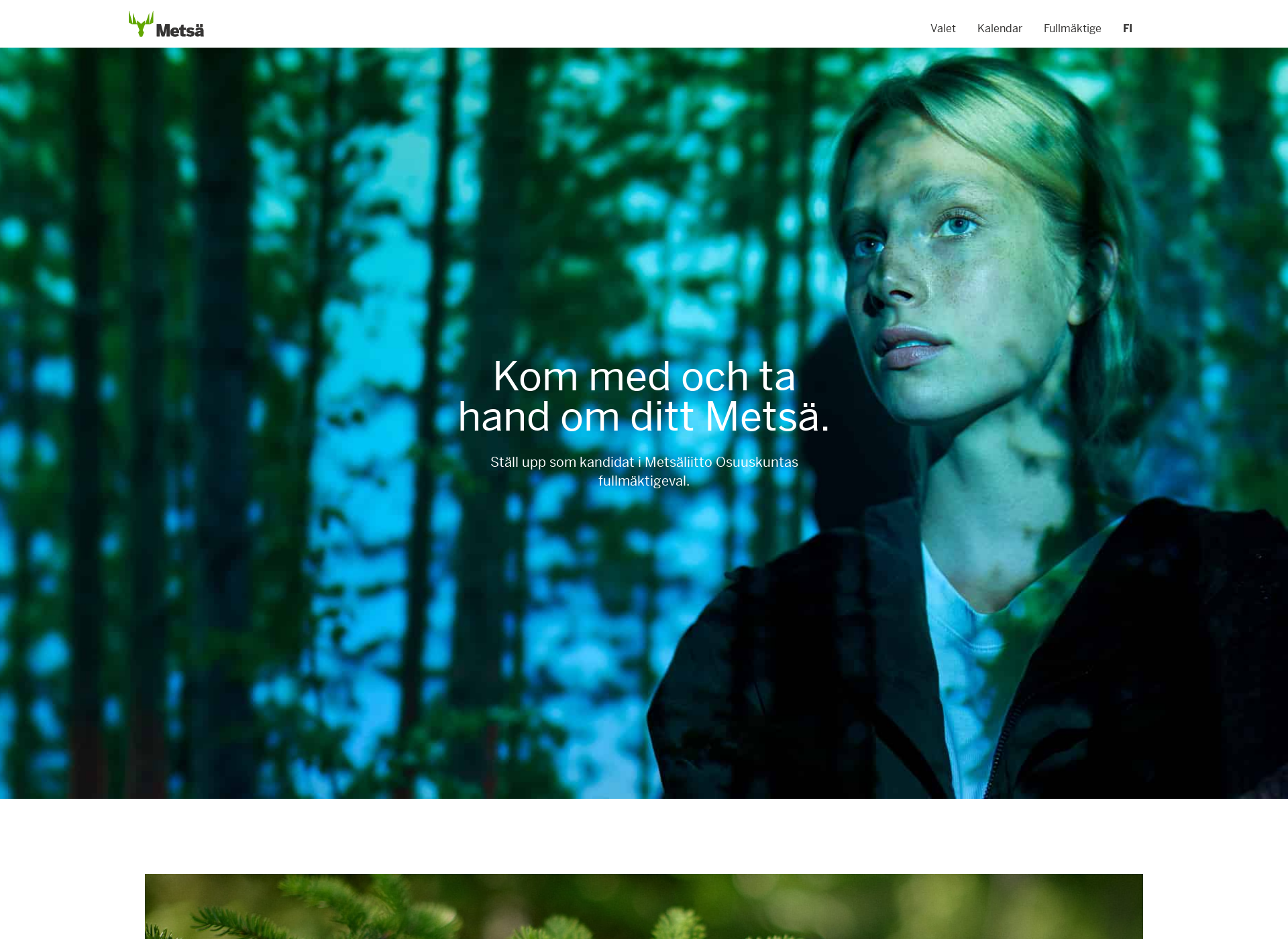 Screenshot for metsaval.fi
