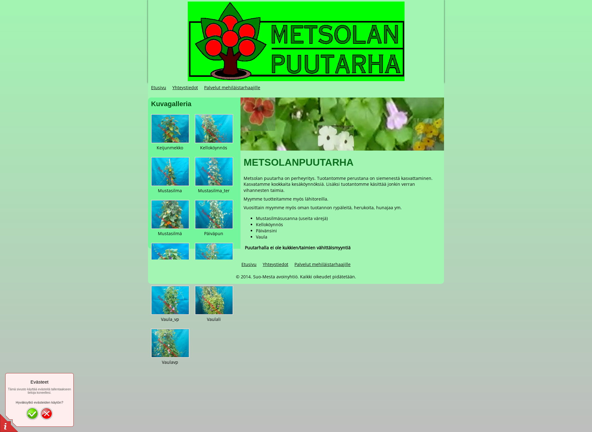 Screenshot for metsolanpuutarha.fi