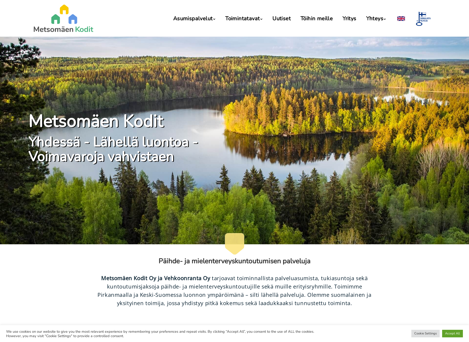 Skärmdump för metsomaki.fi