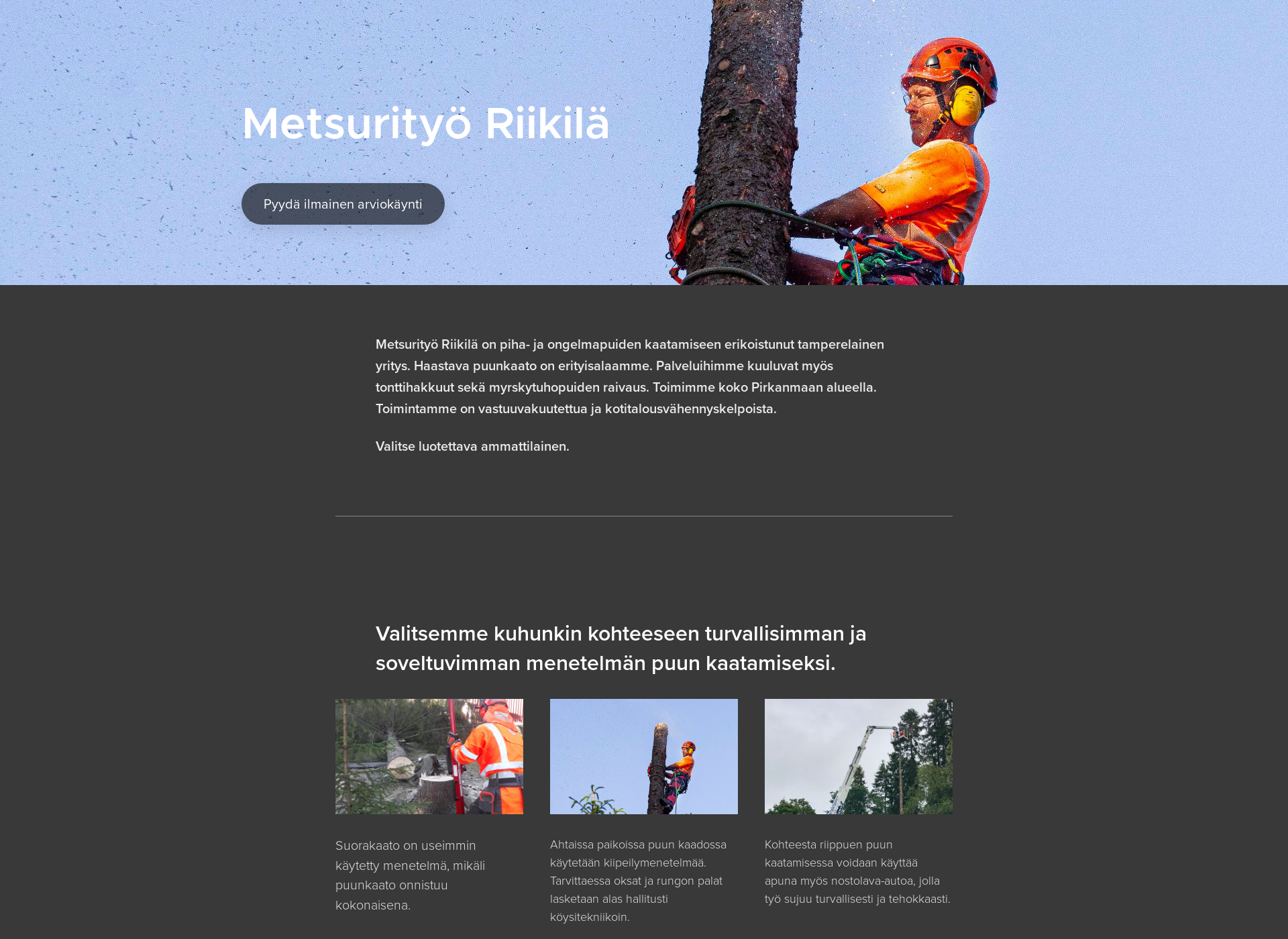 Screenshot for metsurityoriikila.fi