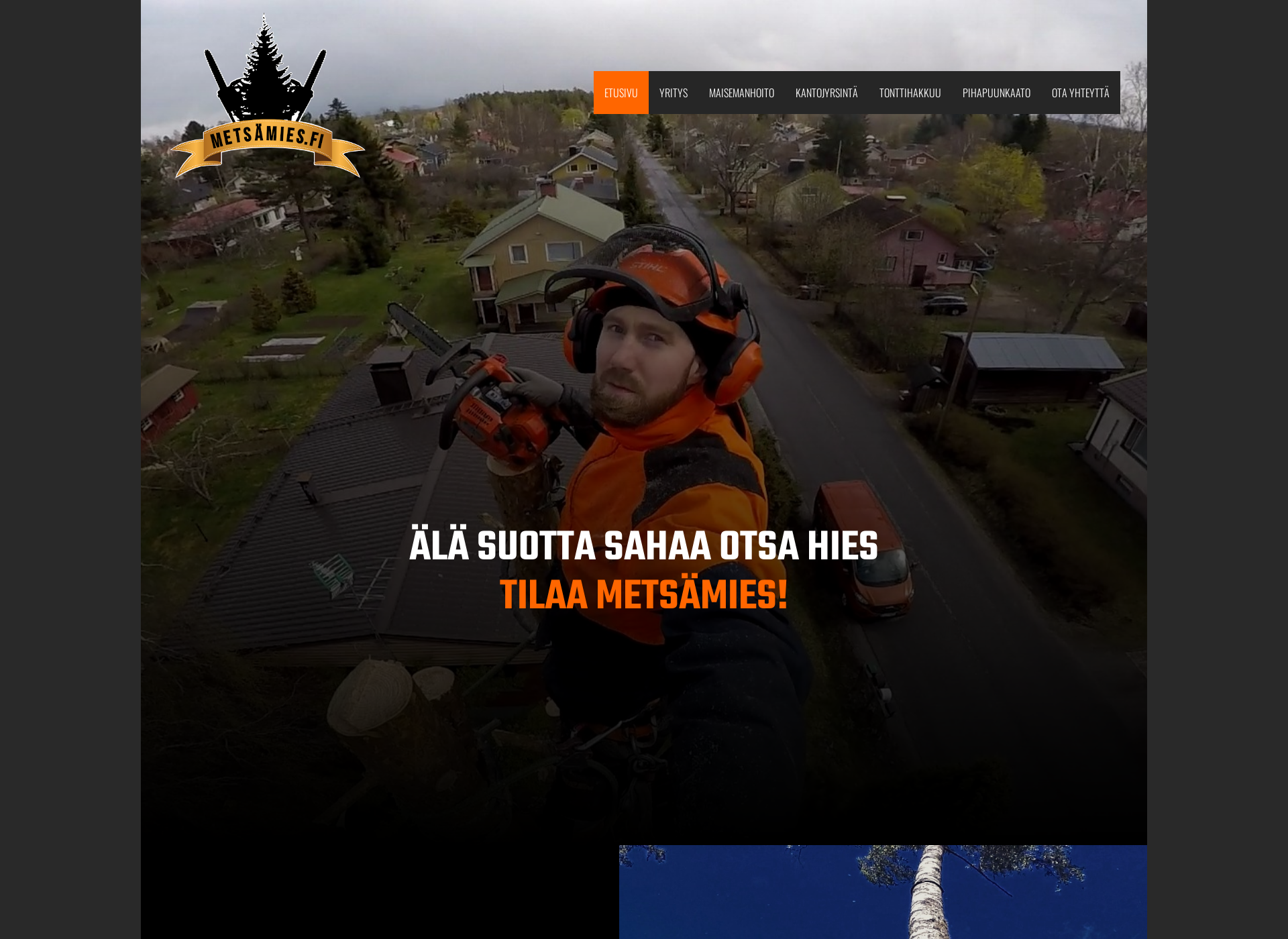Screenshot for metsämies.fi