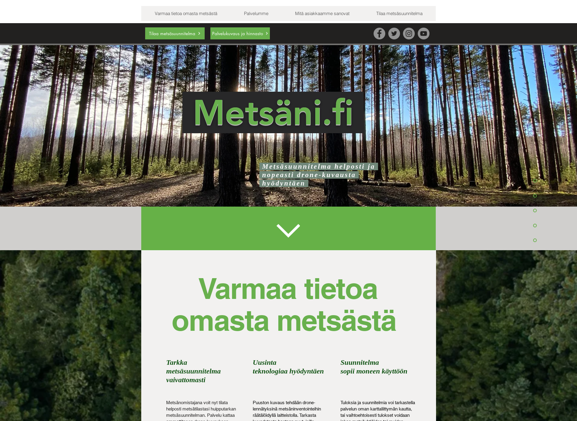 Screenshot for metsäni.fi