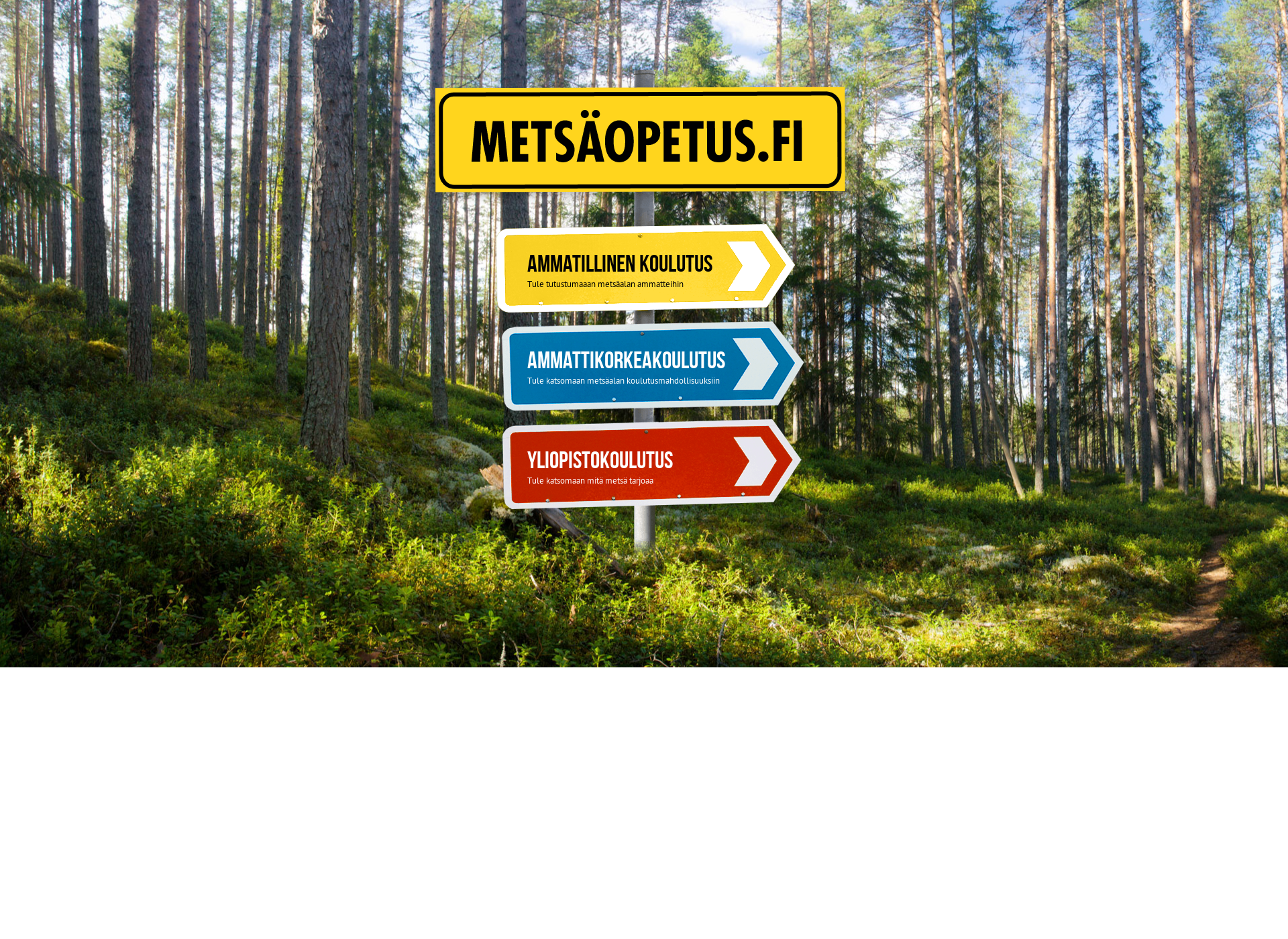 Screenshot for metsäopetus.fi