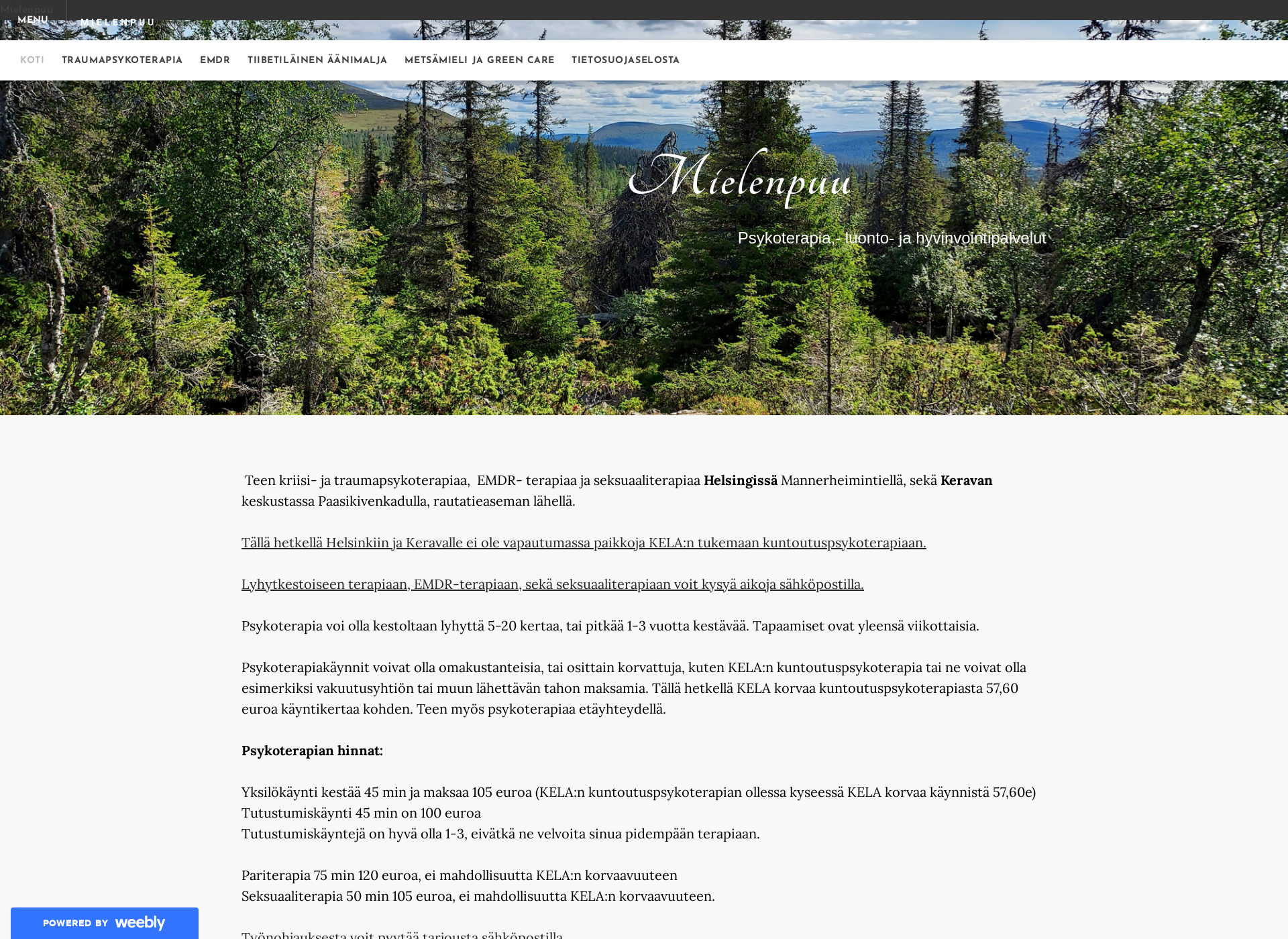 Screenshot for mielenpuu.fi