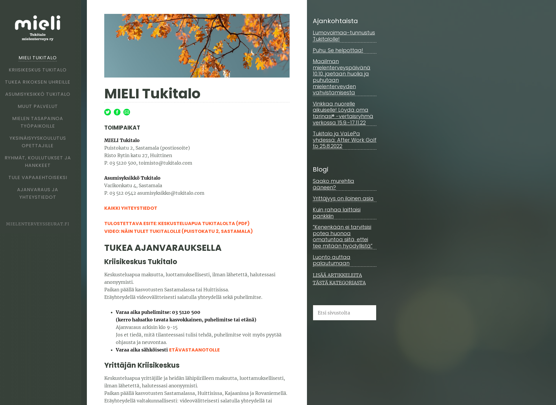 Skärmdump för mielenterveys.fi