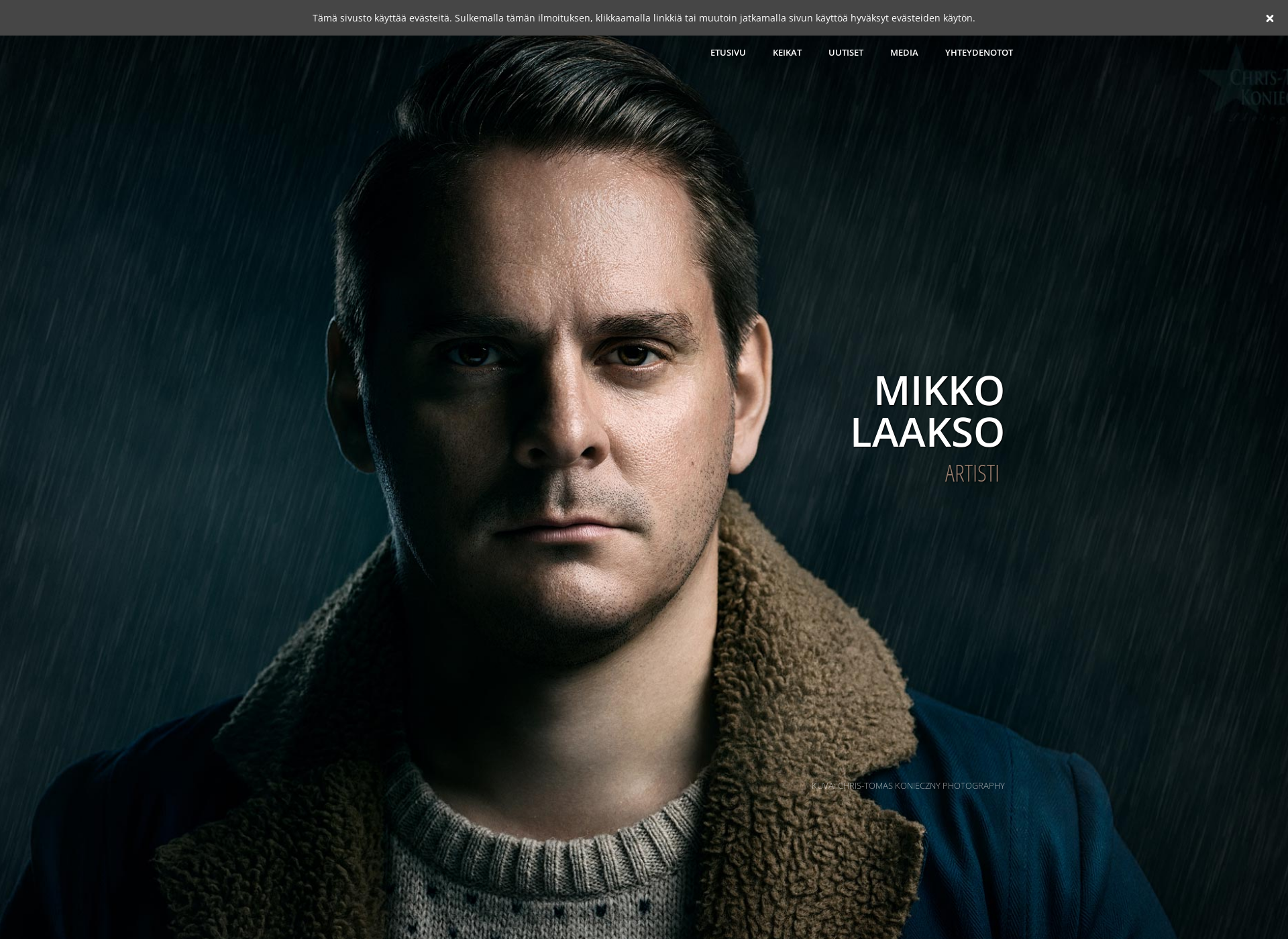 Screenshot for mikkolaakso.fi