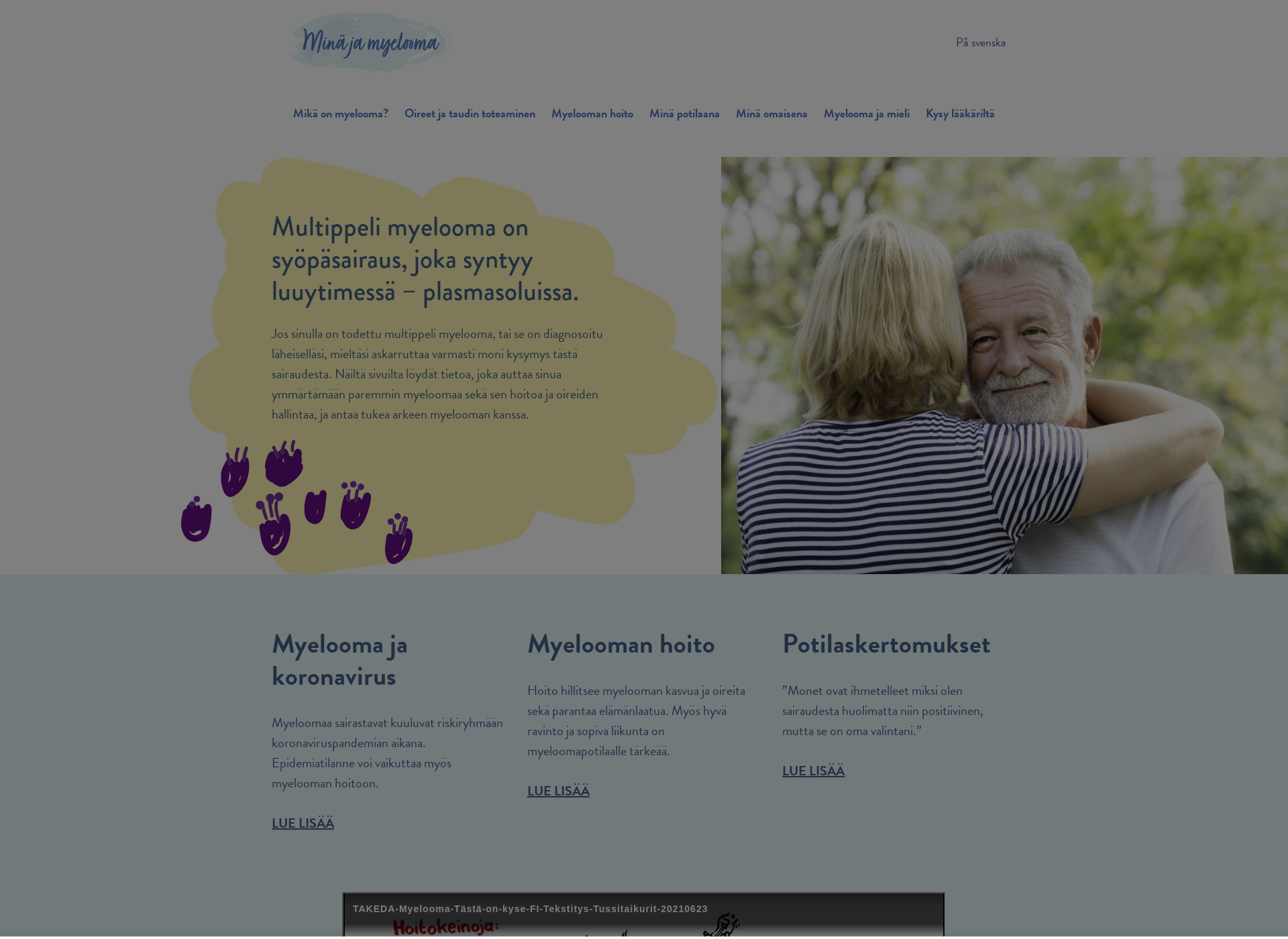 Screenshot for minajamyelooma.fi