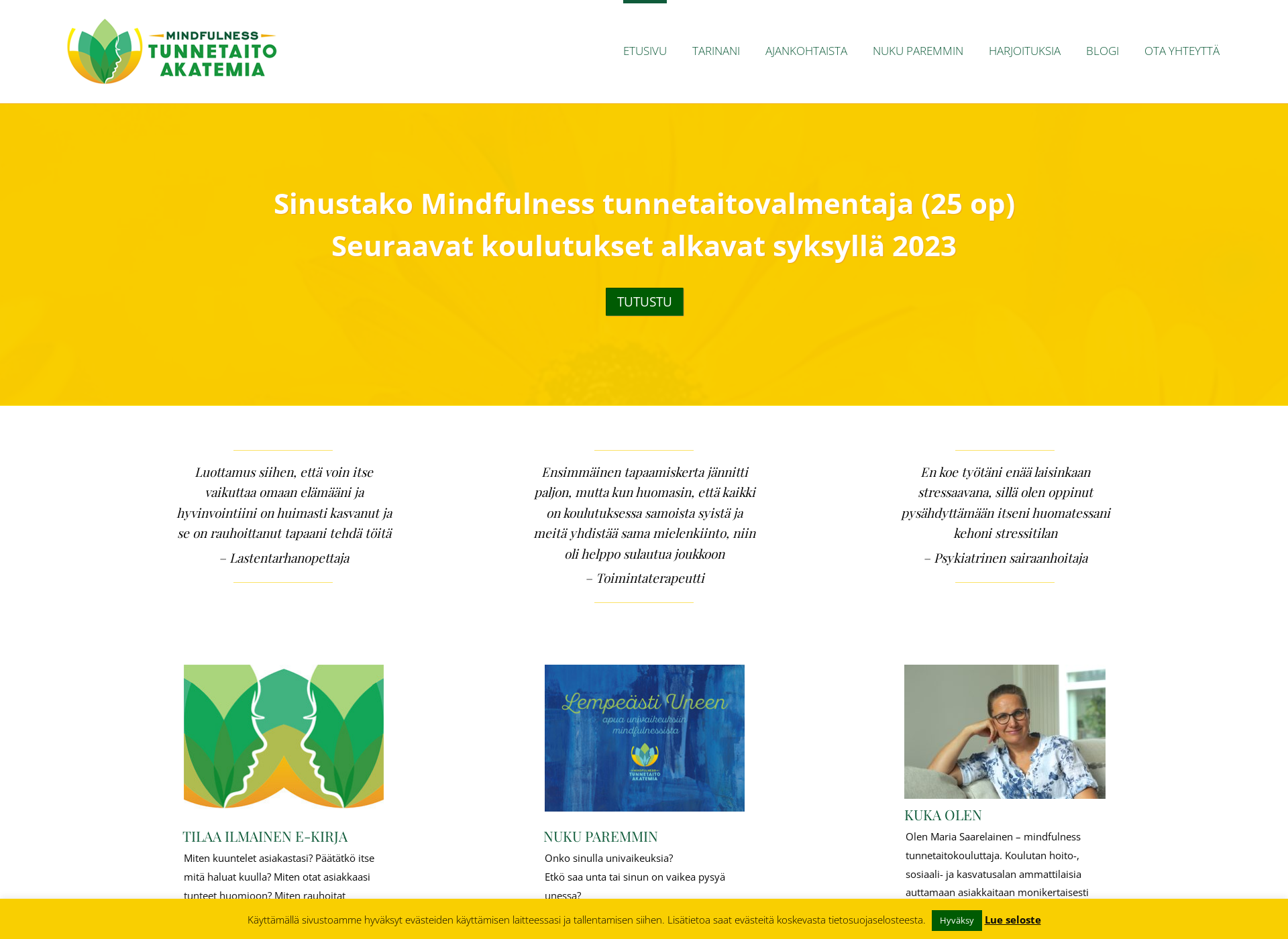 Screenshot for mindfulnesstunnetaitoakatemia.fi