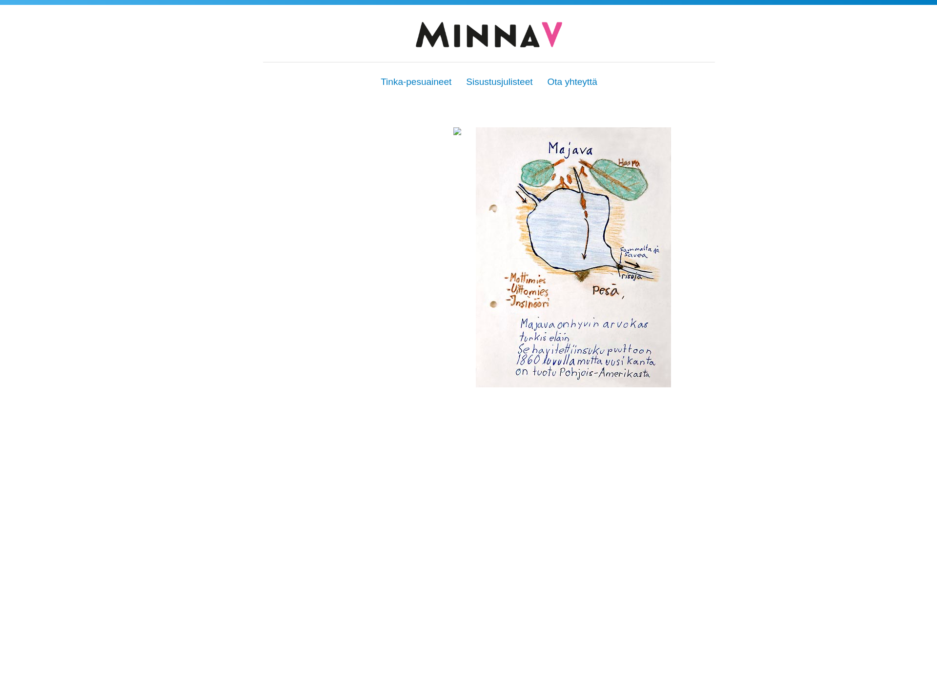Screenshot for minnav.fi