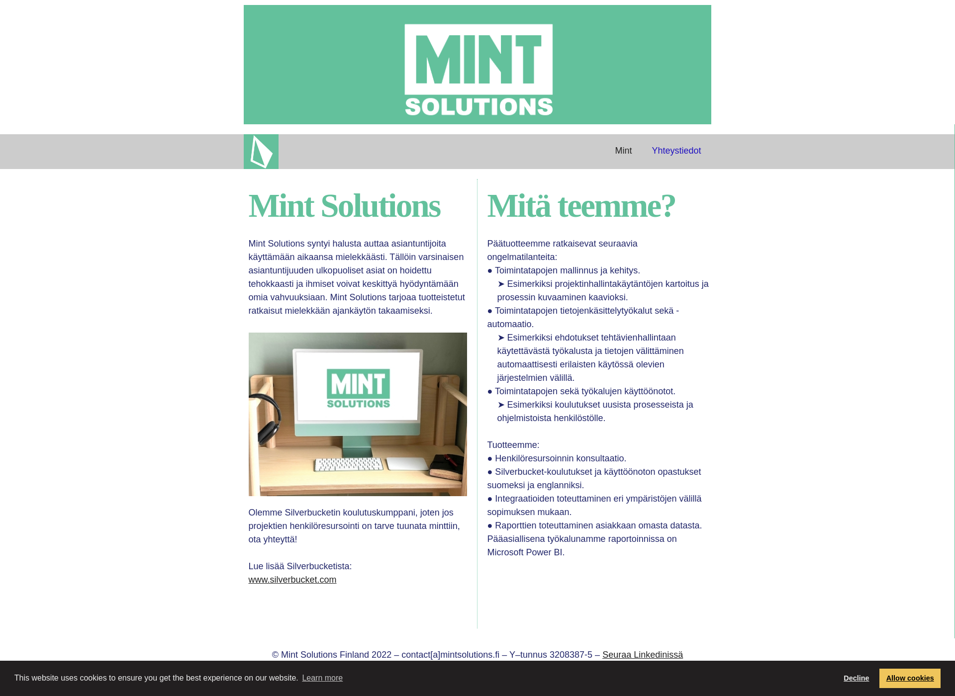 Skärmdump för mintsolutions.fi