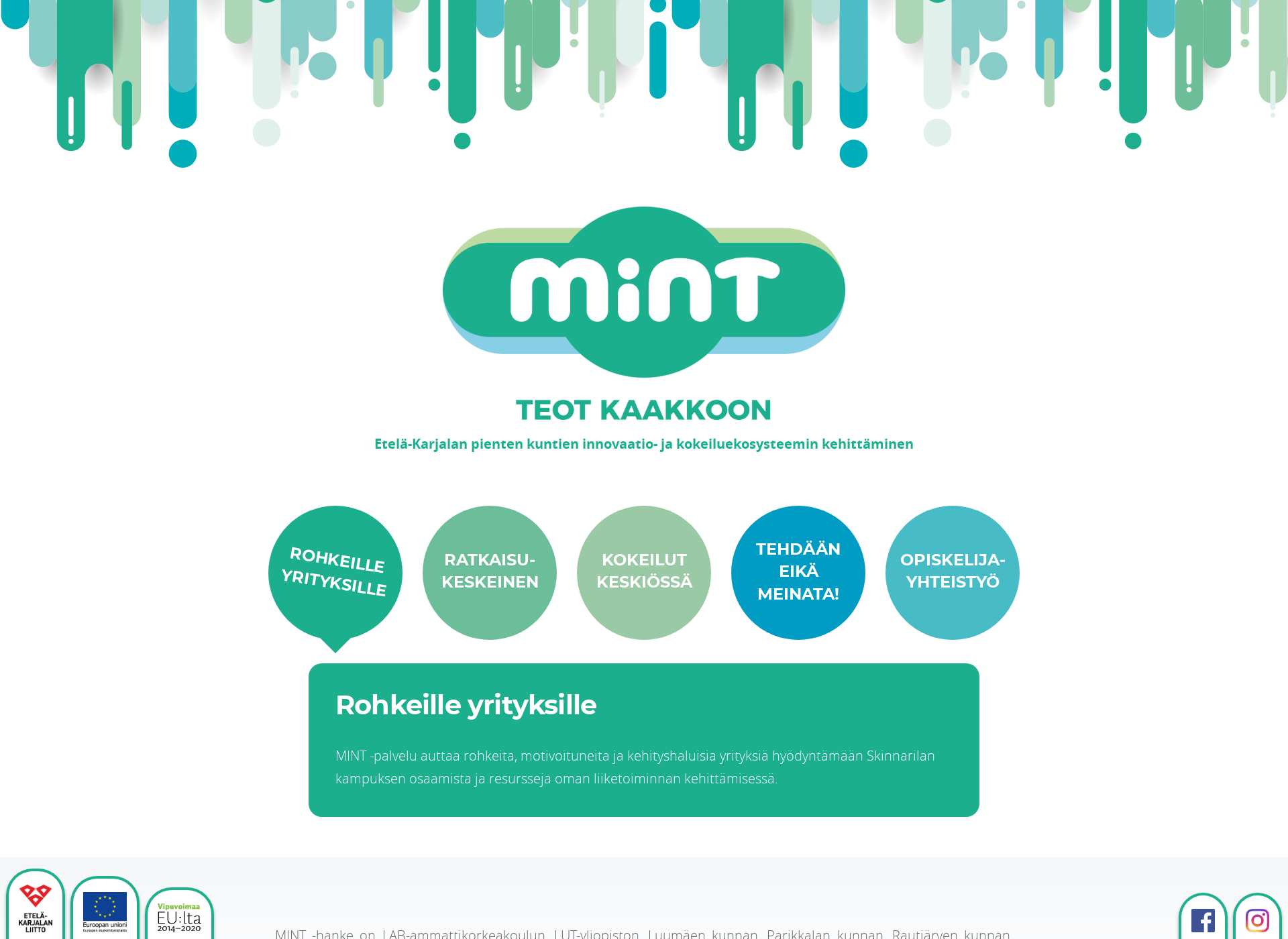 Screenshot for minttiin.fi