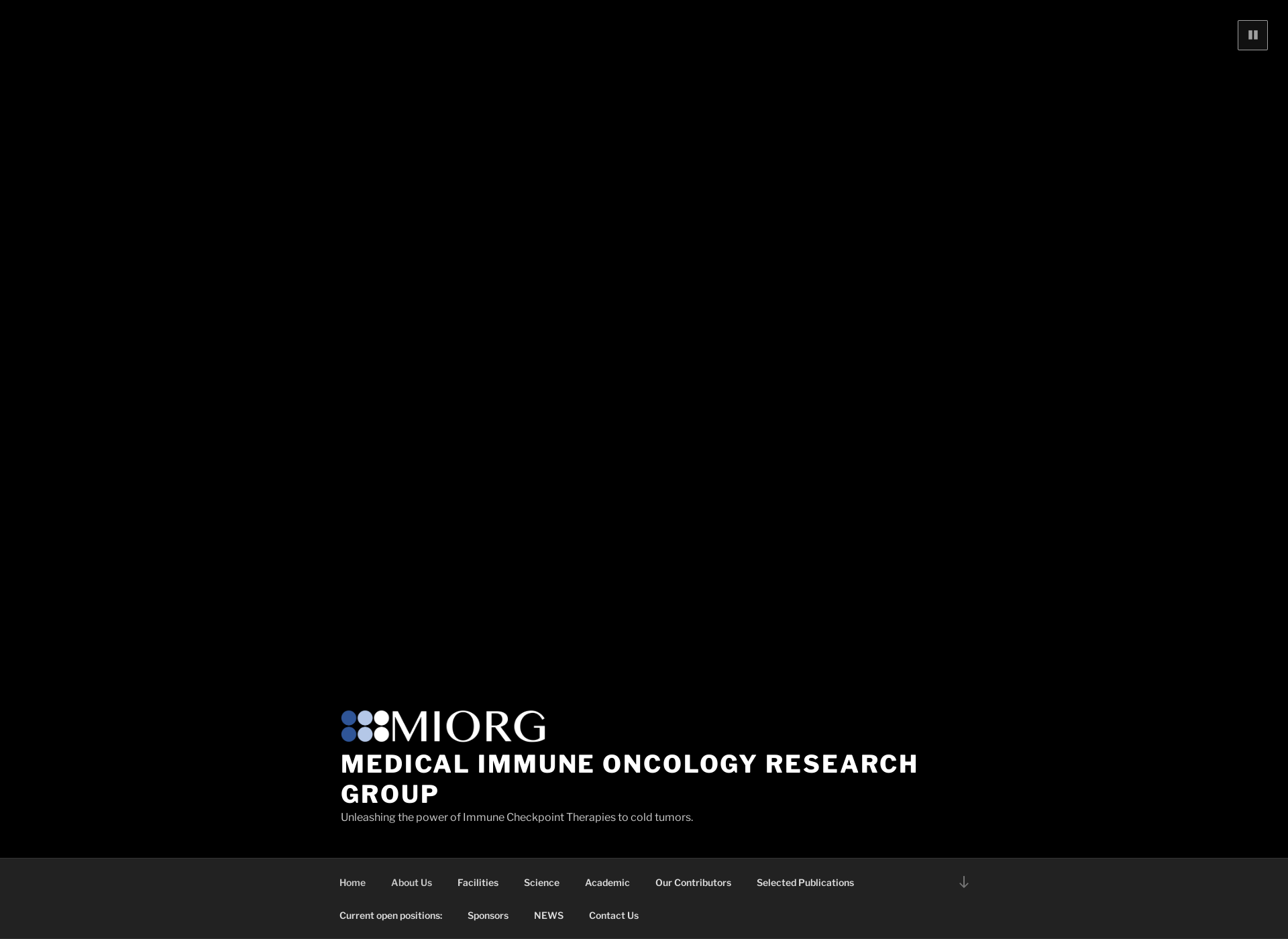 Screenshot for miorg.fi