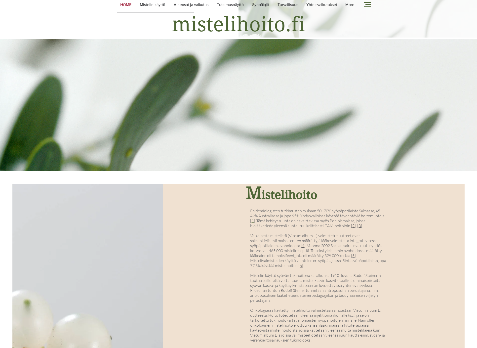 Screenshot for mistelihoito.fi