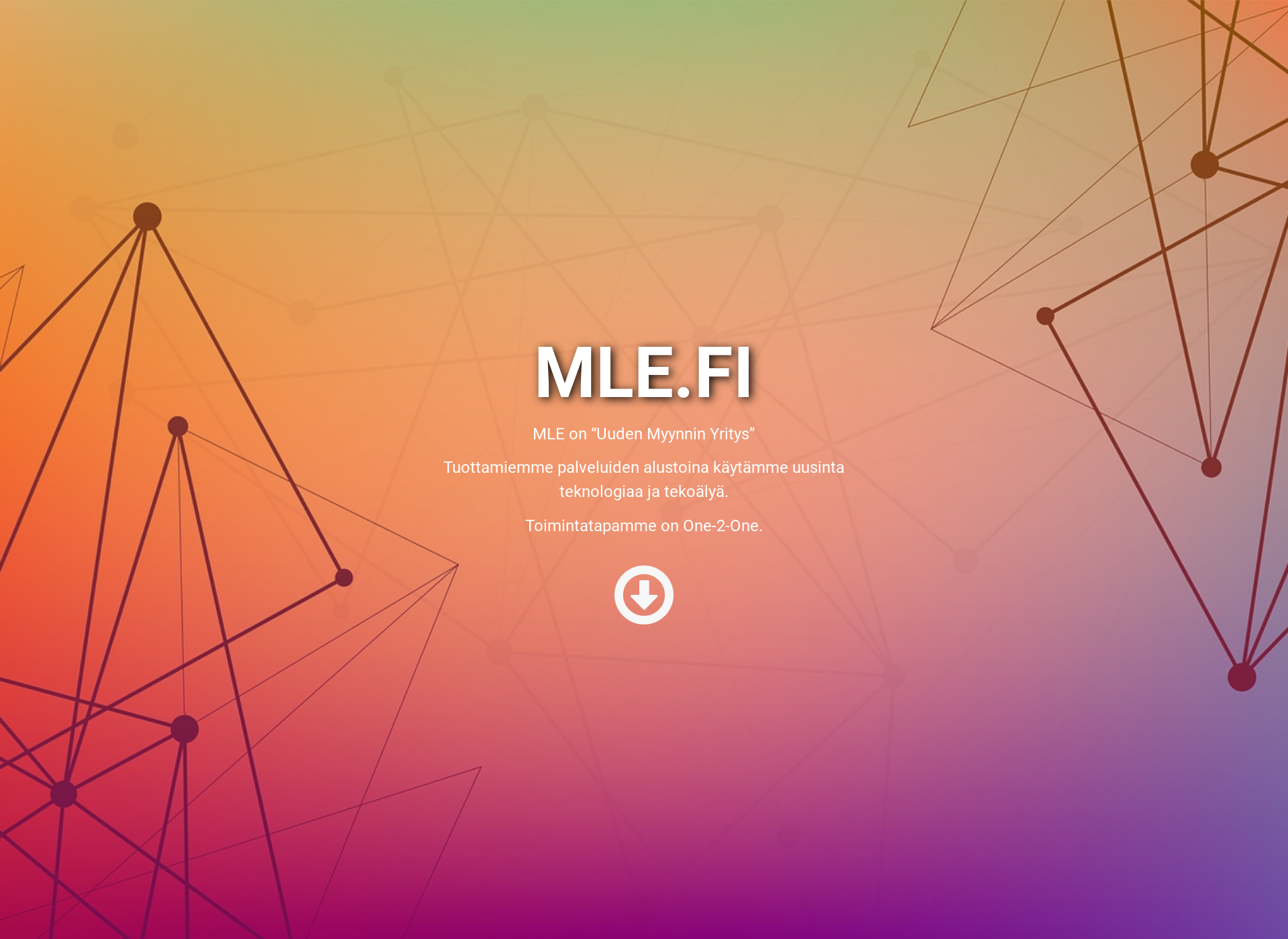 Skärmdump för mle.fi
