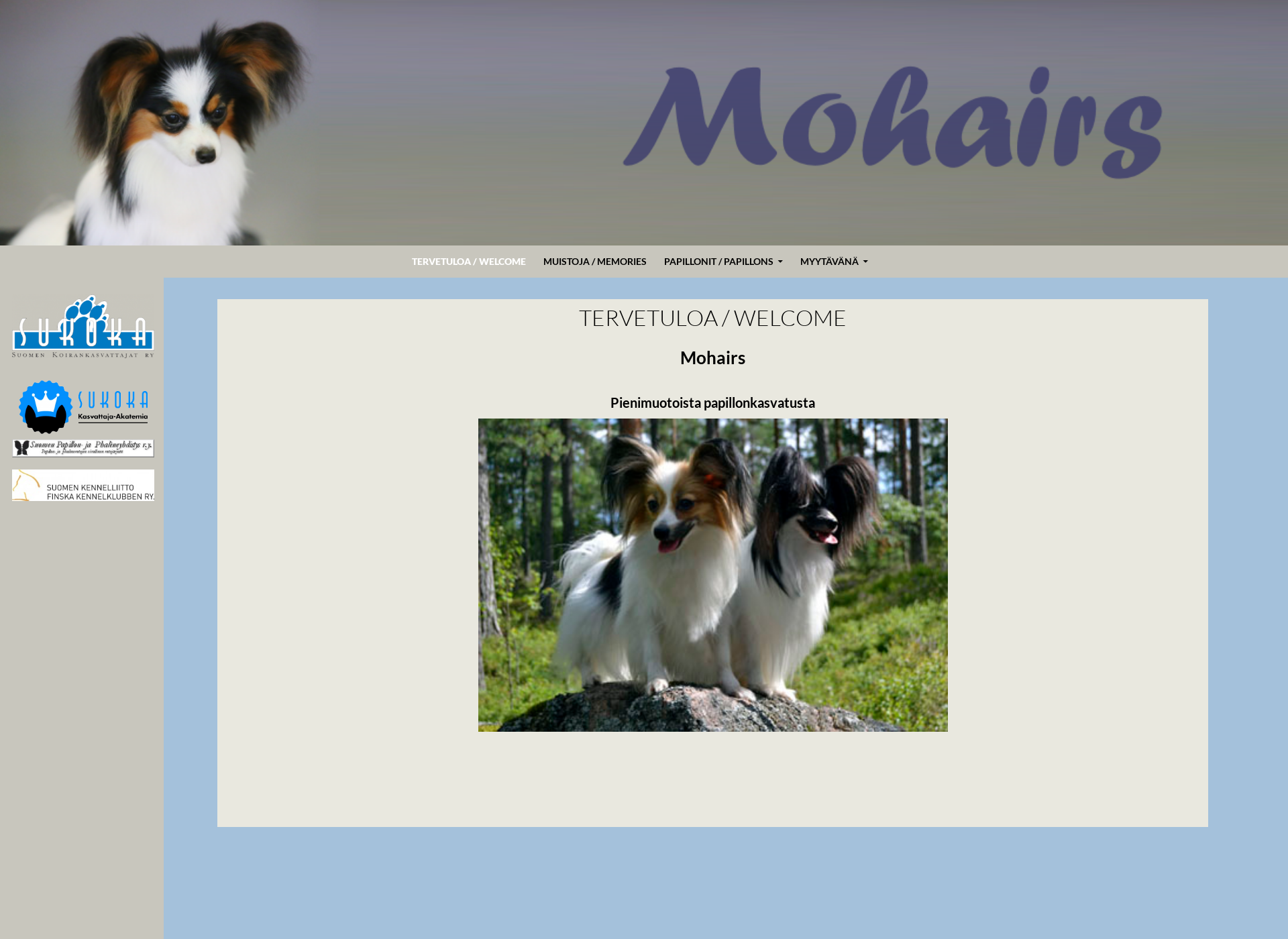 Screenshot for mohairs.fi