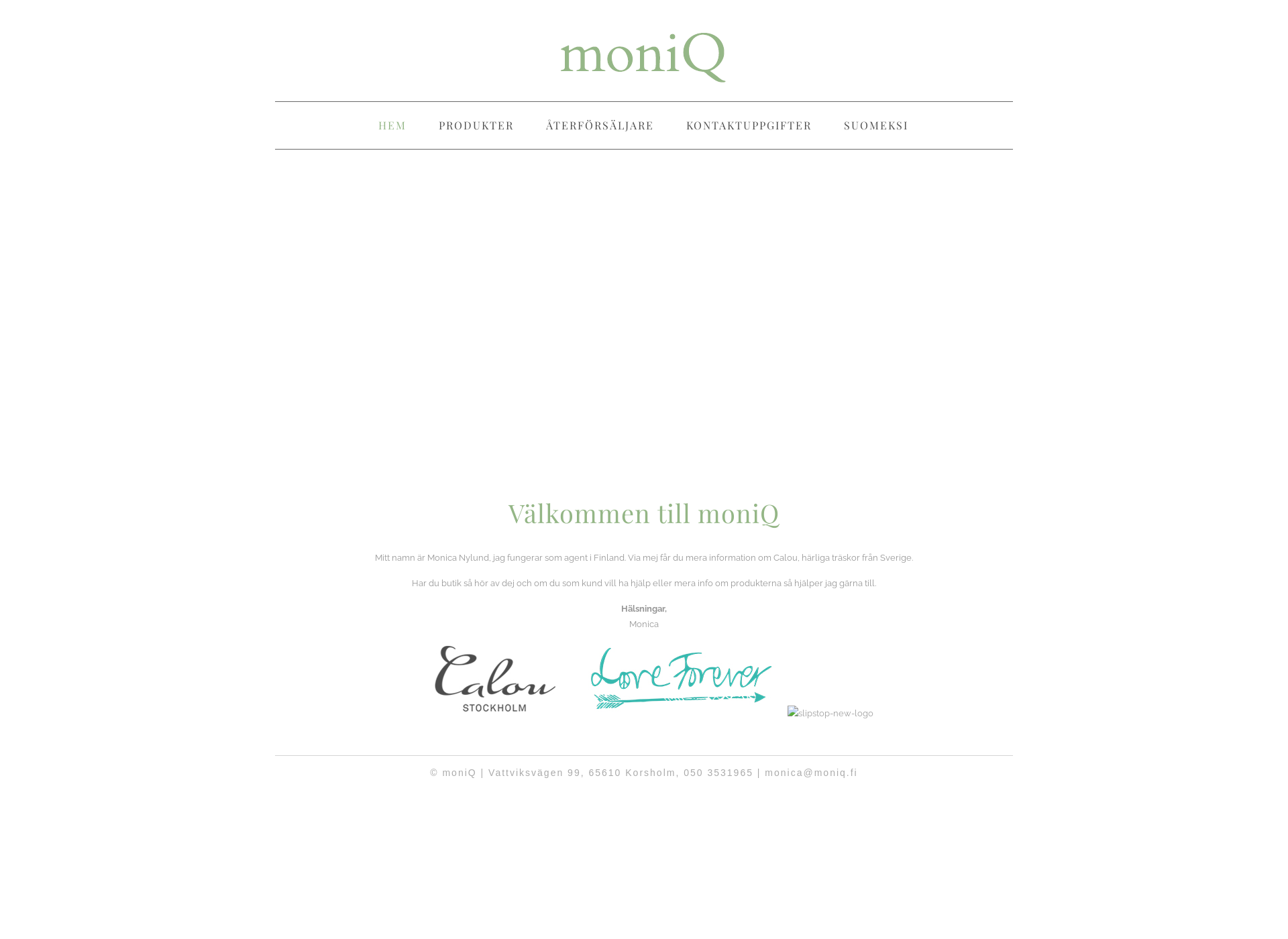 Screenshot for moniq.fi
