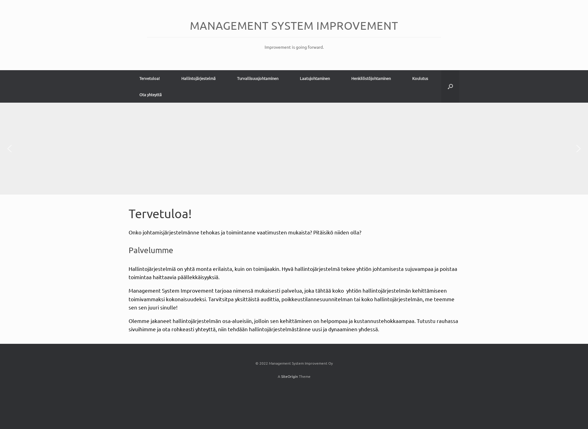 Screenshot for msimprovement.fi