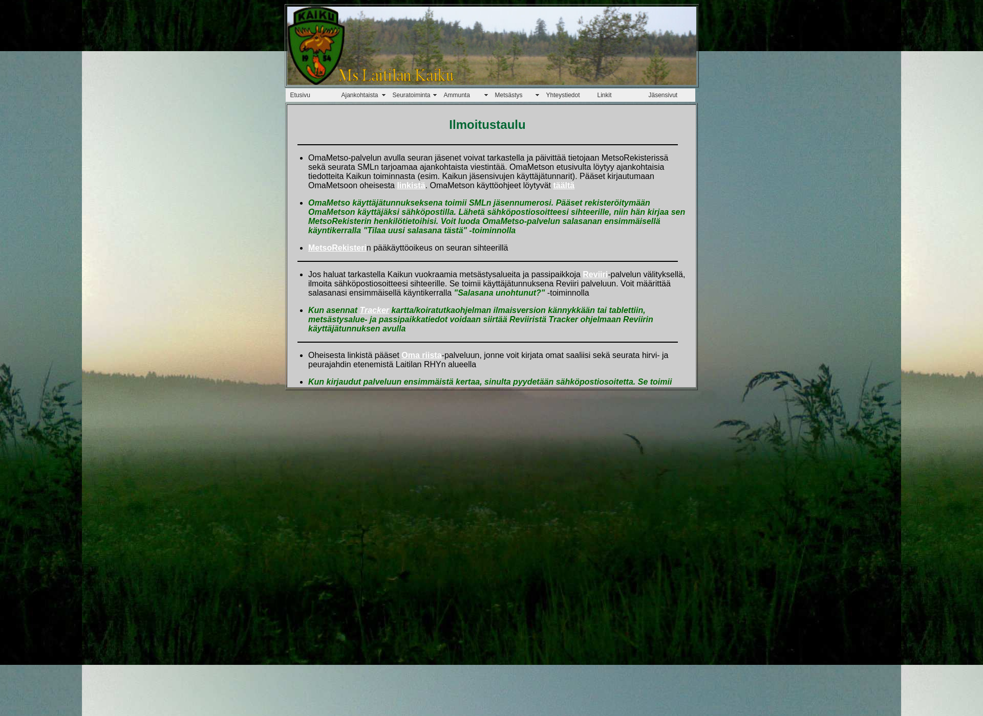 Screenshot for mskaiku.fi