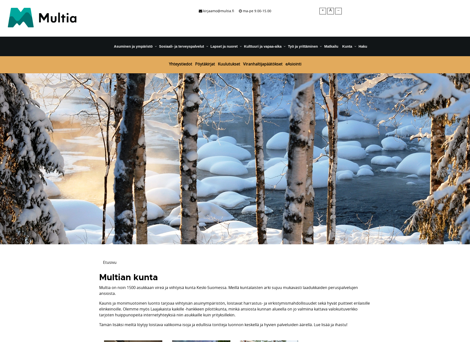 Screenshot for multia.fi