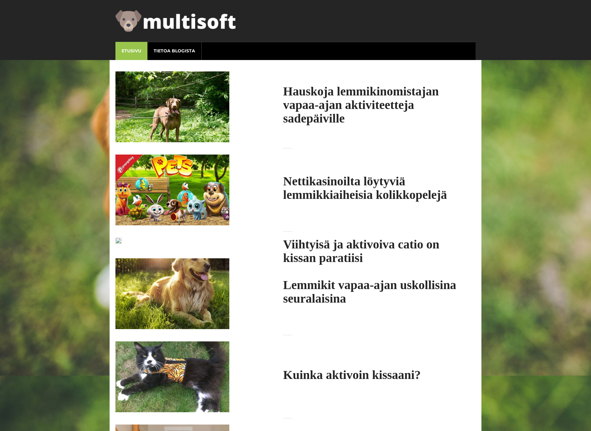 Screenshot for multisoft.fi