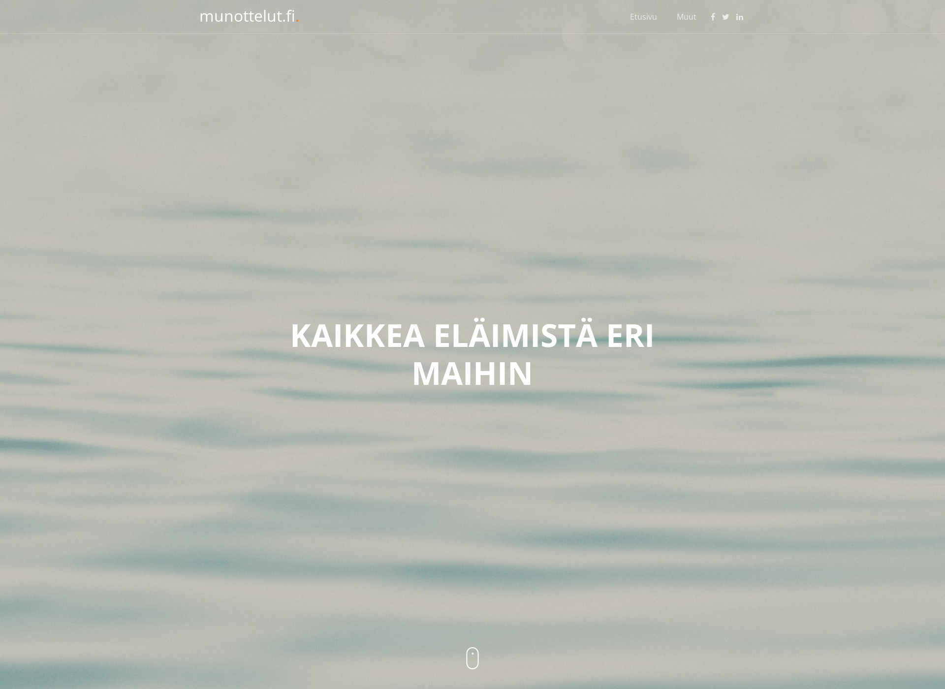 Skärmdump för munottelut.fi