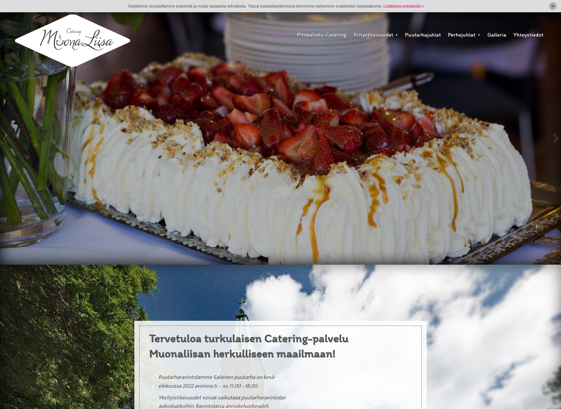 Screenshot for muonaliisa.fi