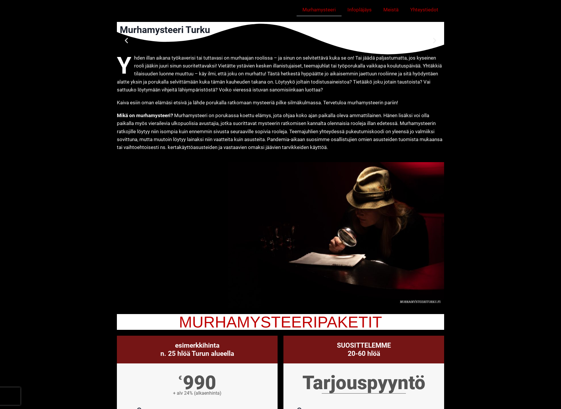 Screenshot for murhamysteeriturku.fi