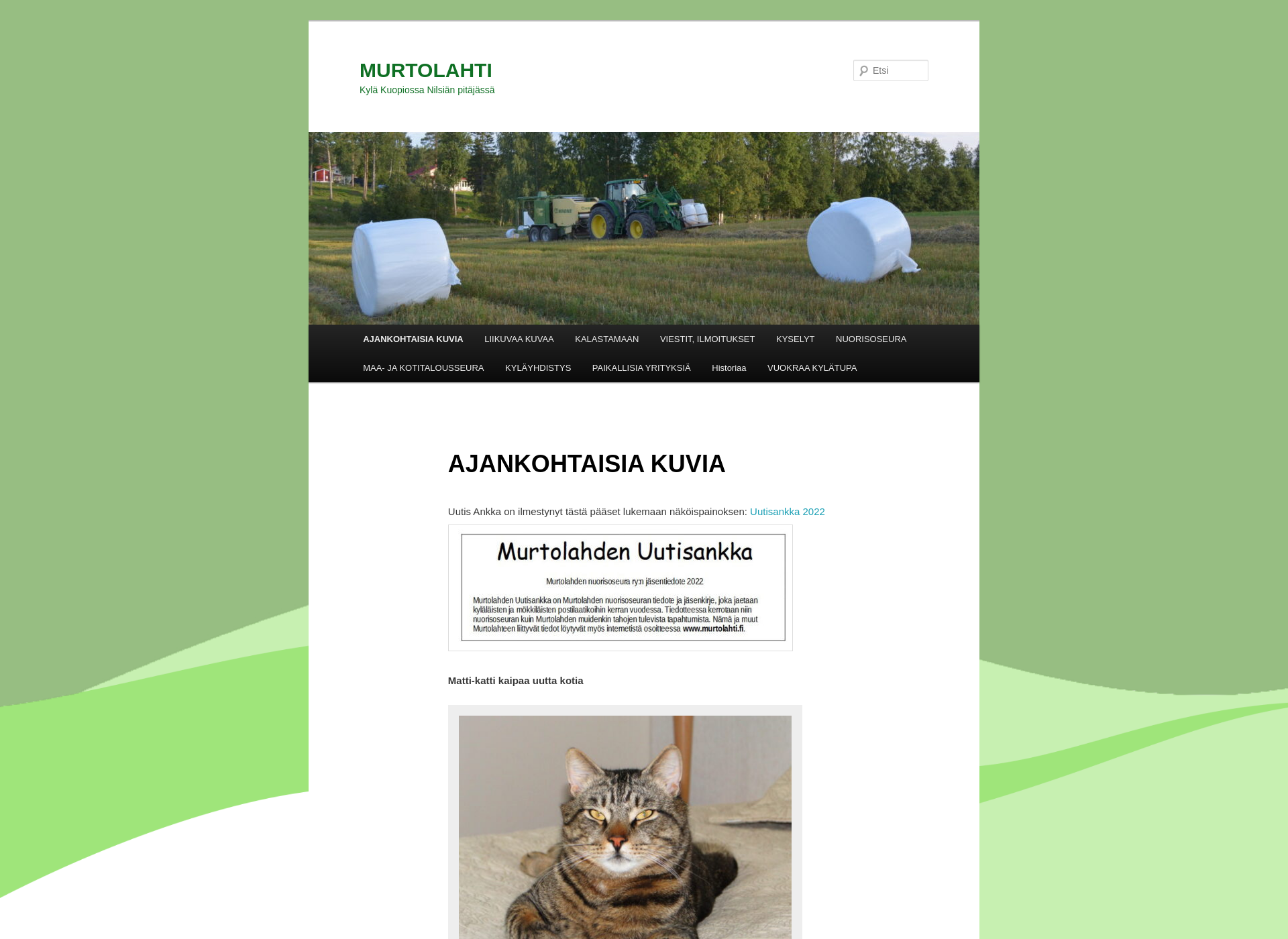 Screenshot for murtolahti.fi