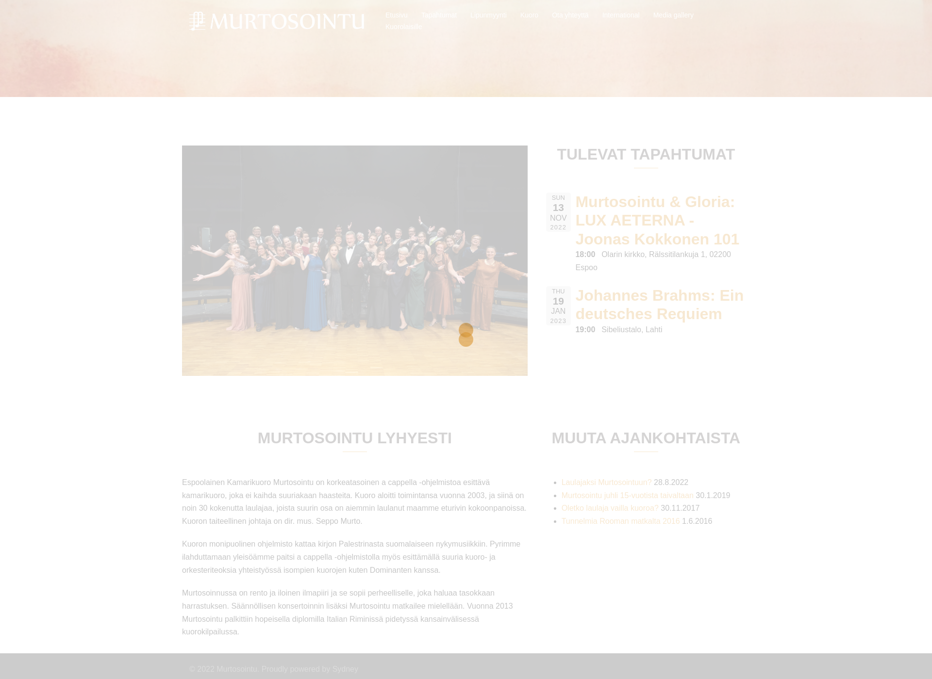 Screenshot for murtosointu.fi