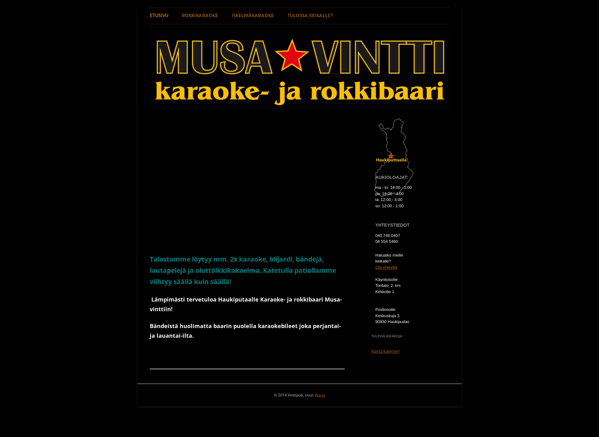 Skärmdump för musavintti.fi