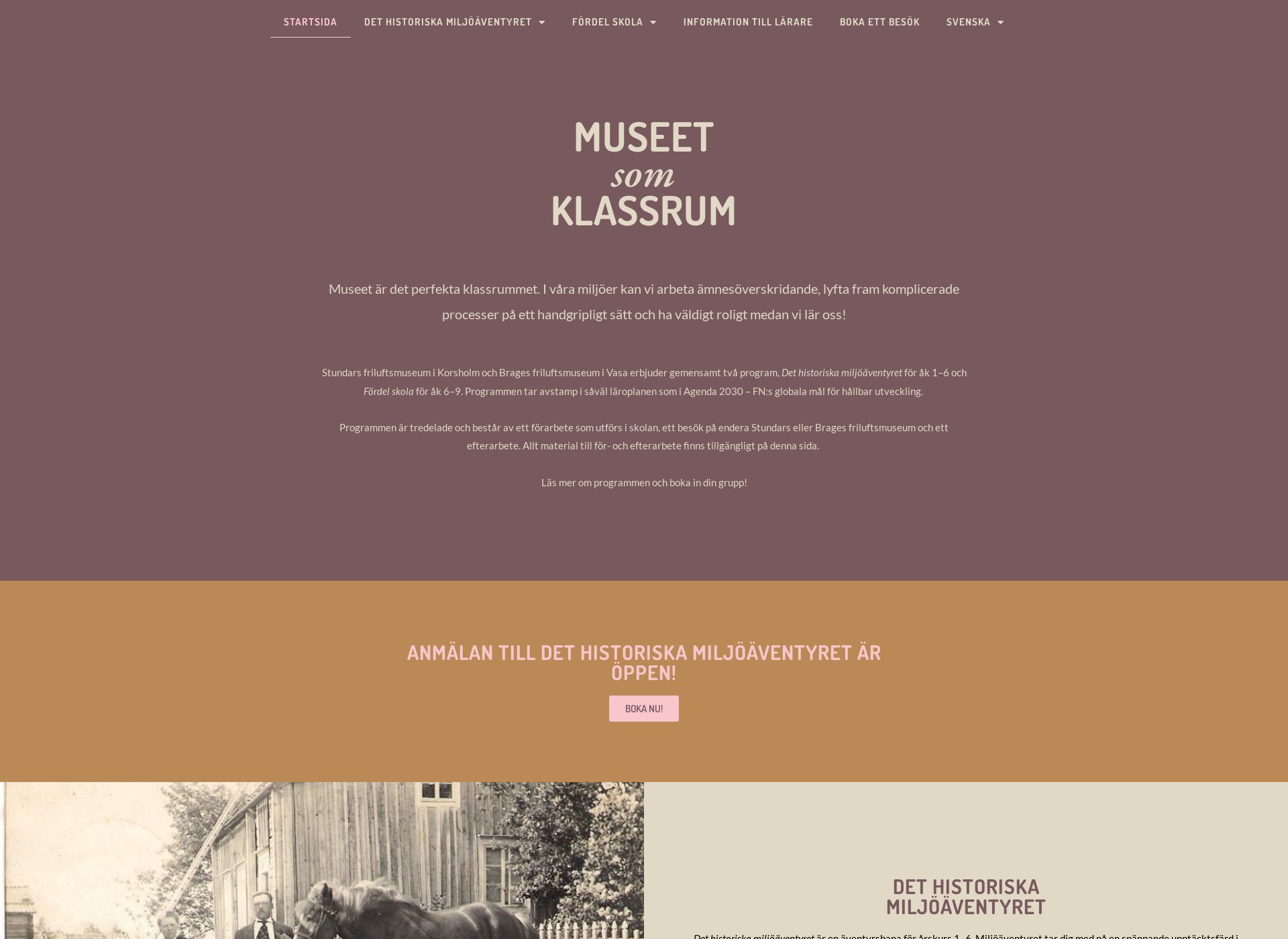 Screenshot for museetsomklassrum.fi