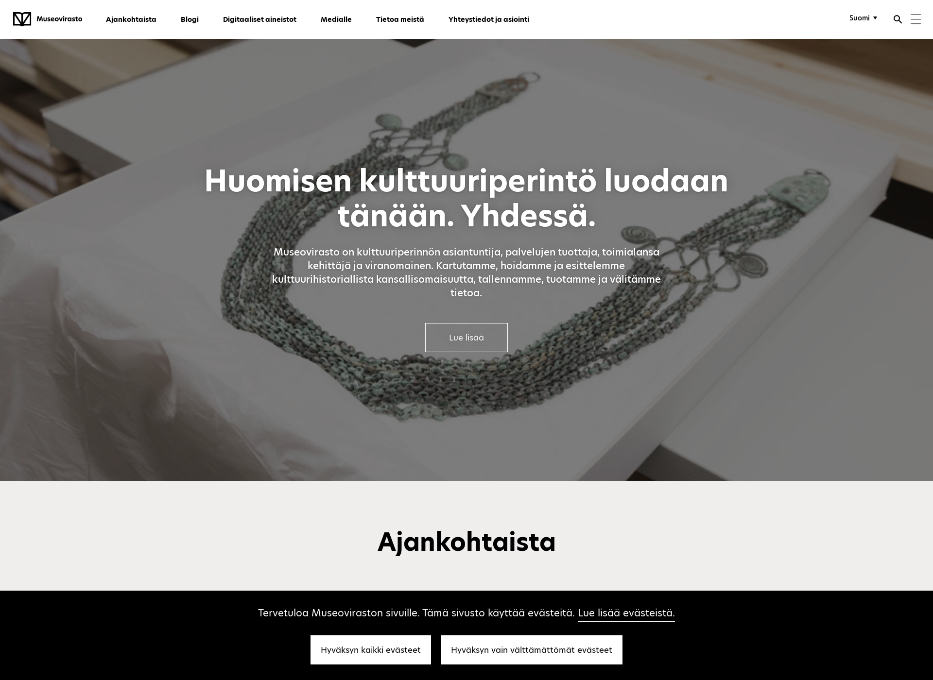 Skärmdump för museovirasto.fi