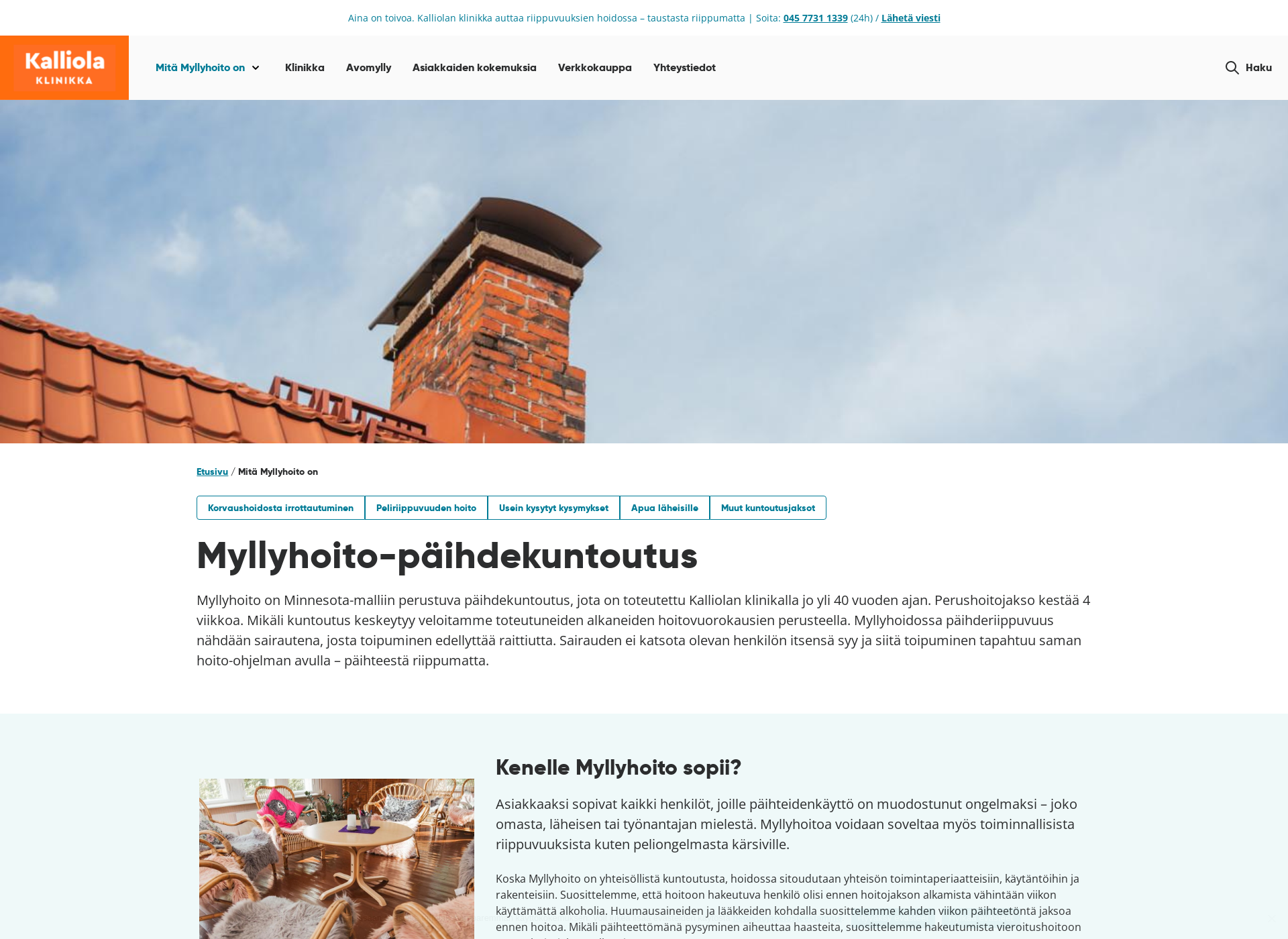 Skärmdump för myllyhoitoon.fi