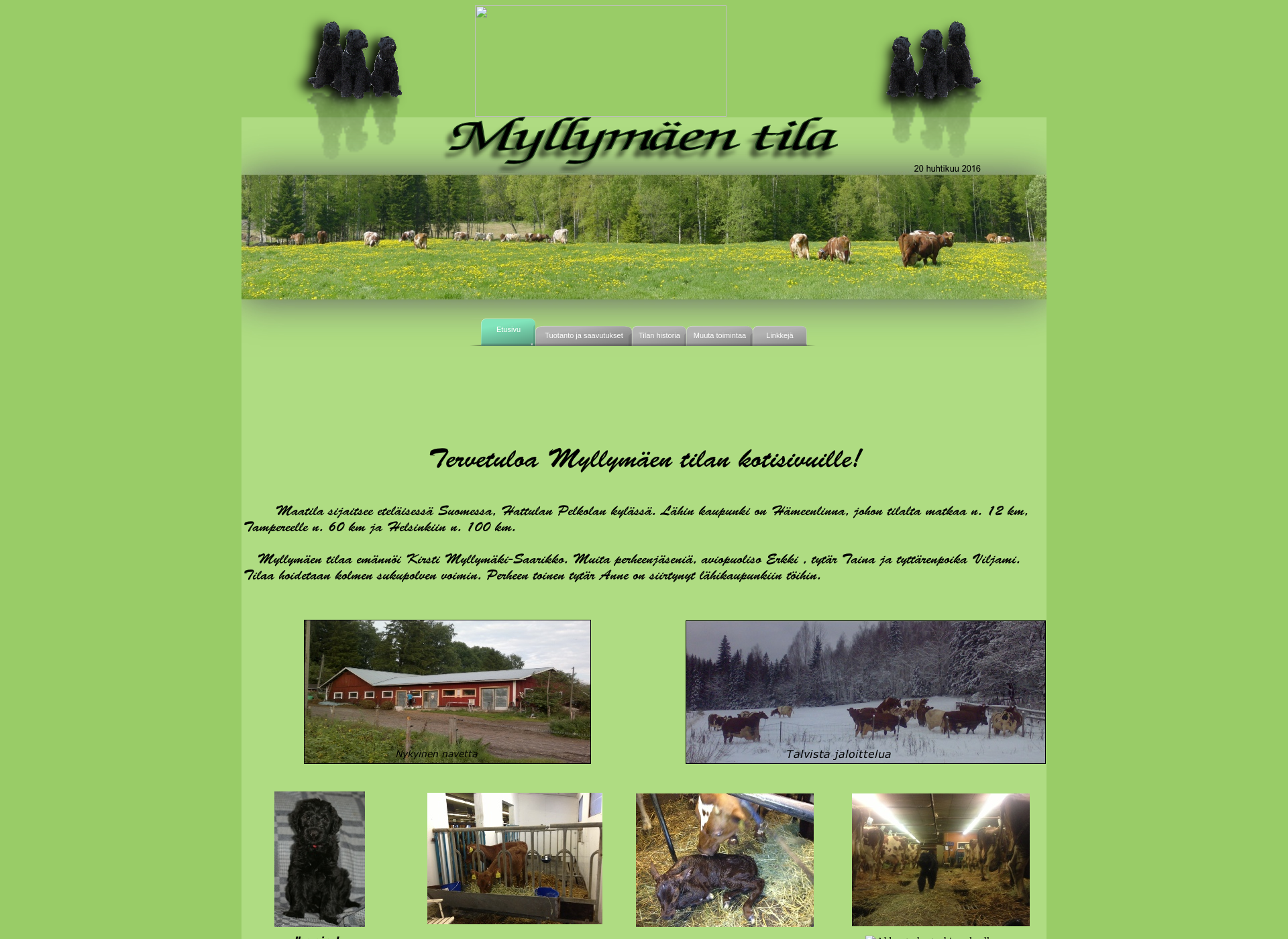 Screenshot for myllymaentila.fi