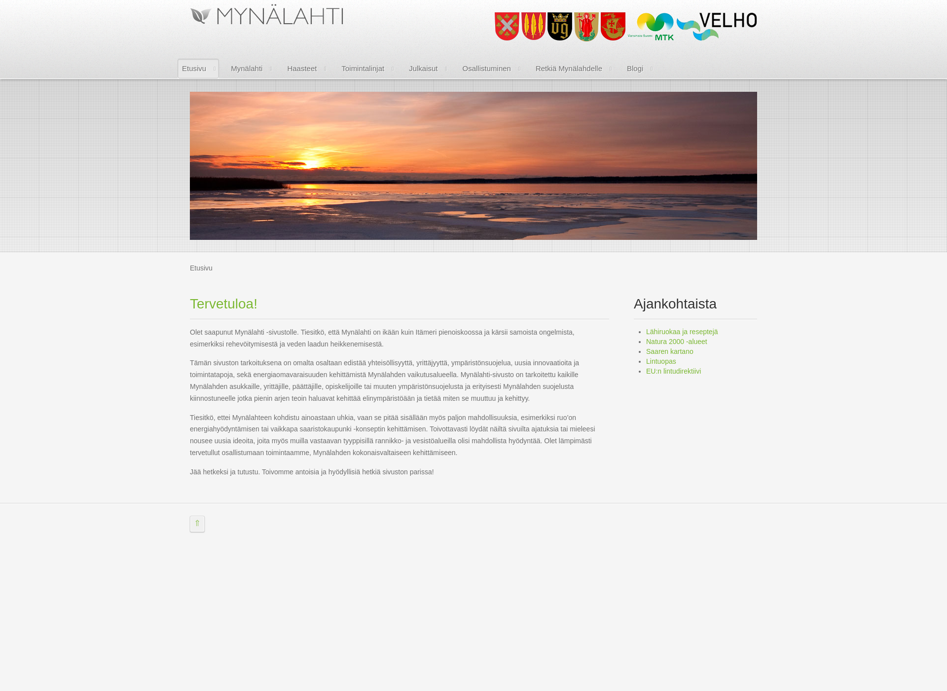 Skärmdump för mynalahti.fi