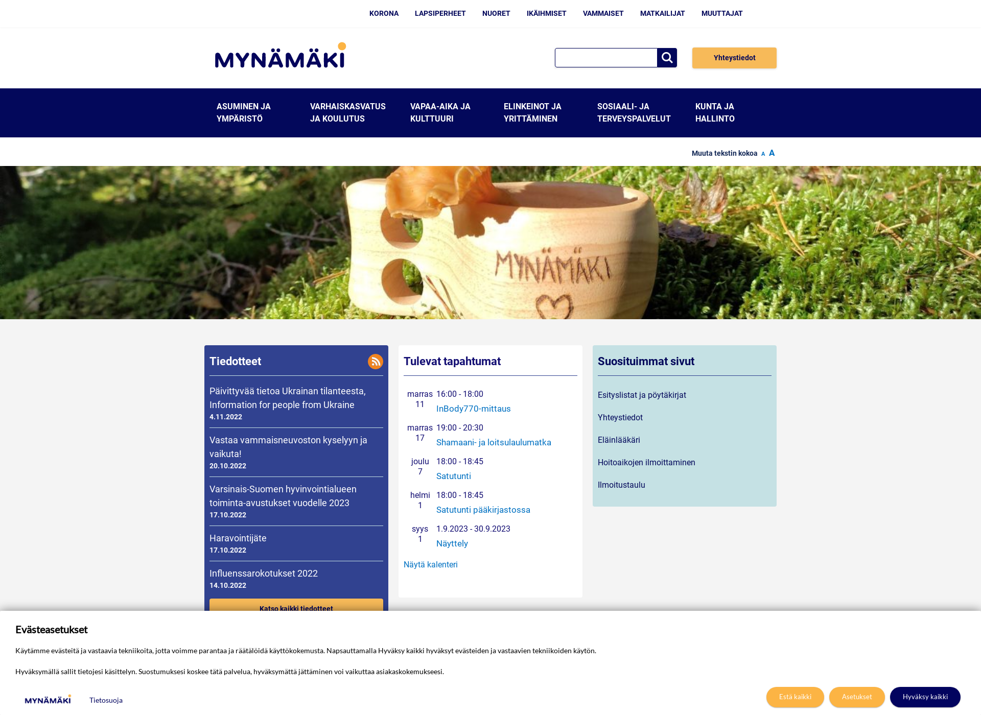 Screenshot for mynämäki.fi
