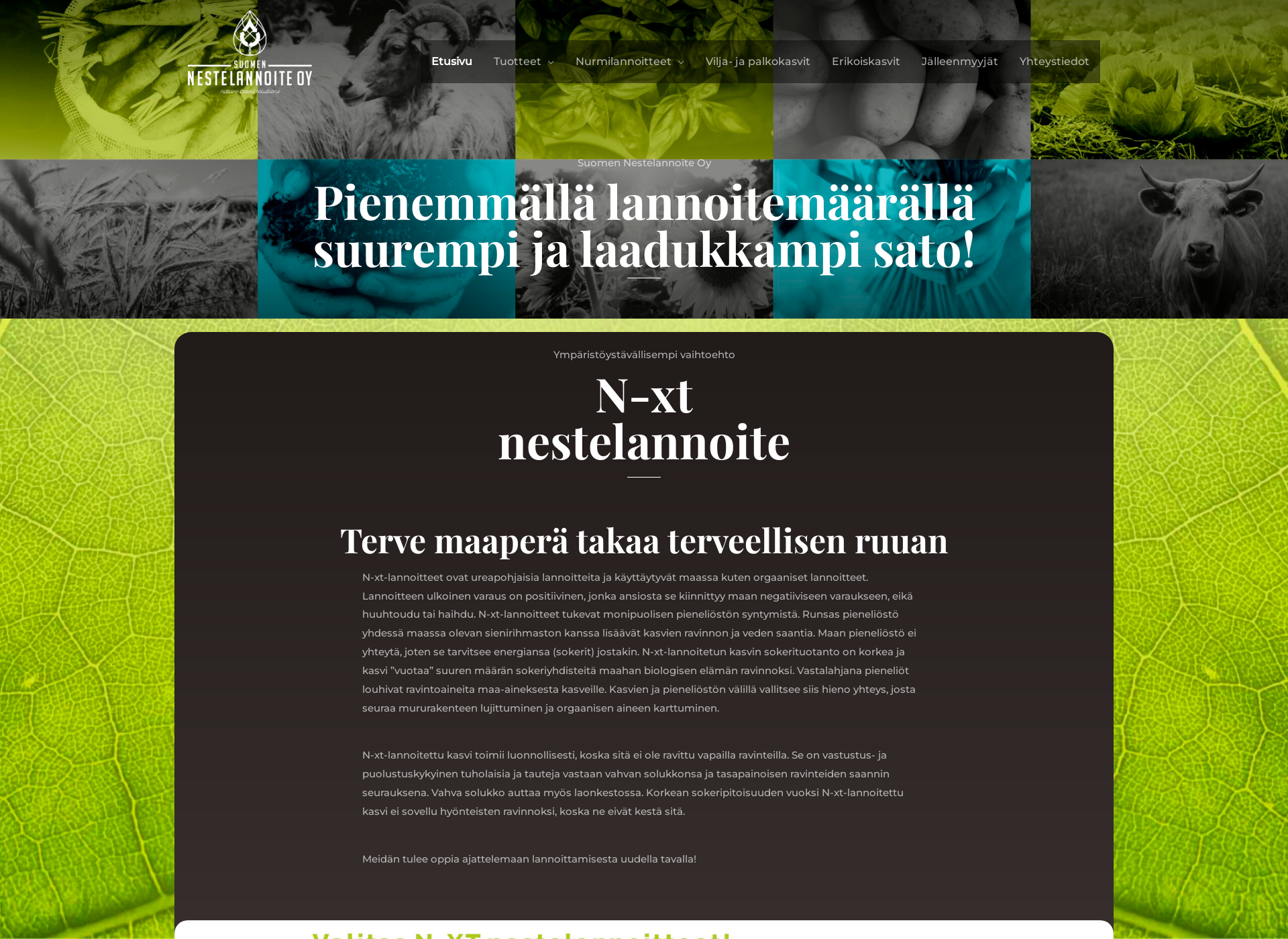 Skärmdump för n-xt.fi