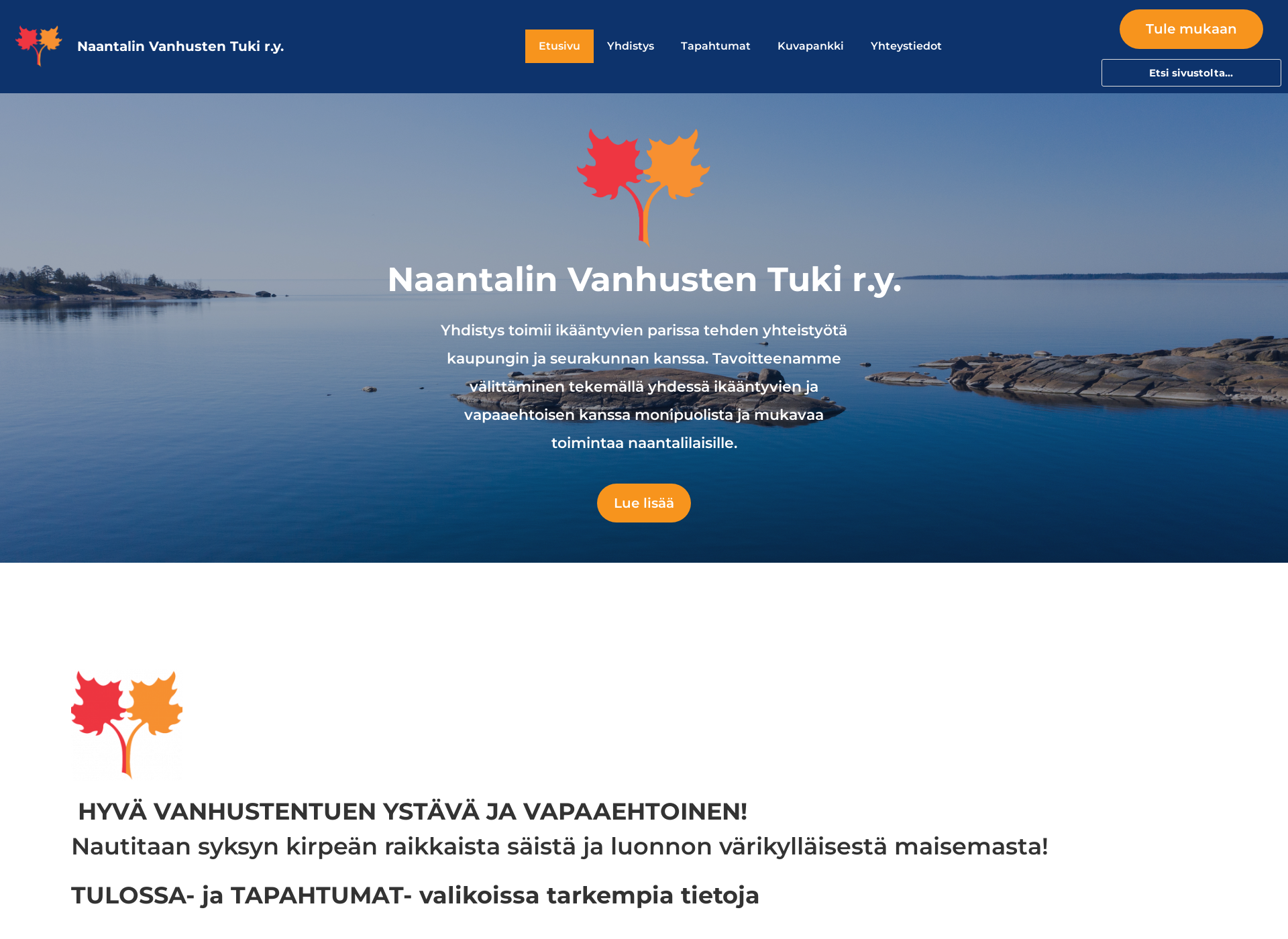 Screenshot for naantalinvanhustentuki.fi