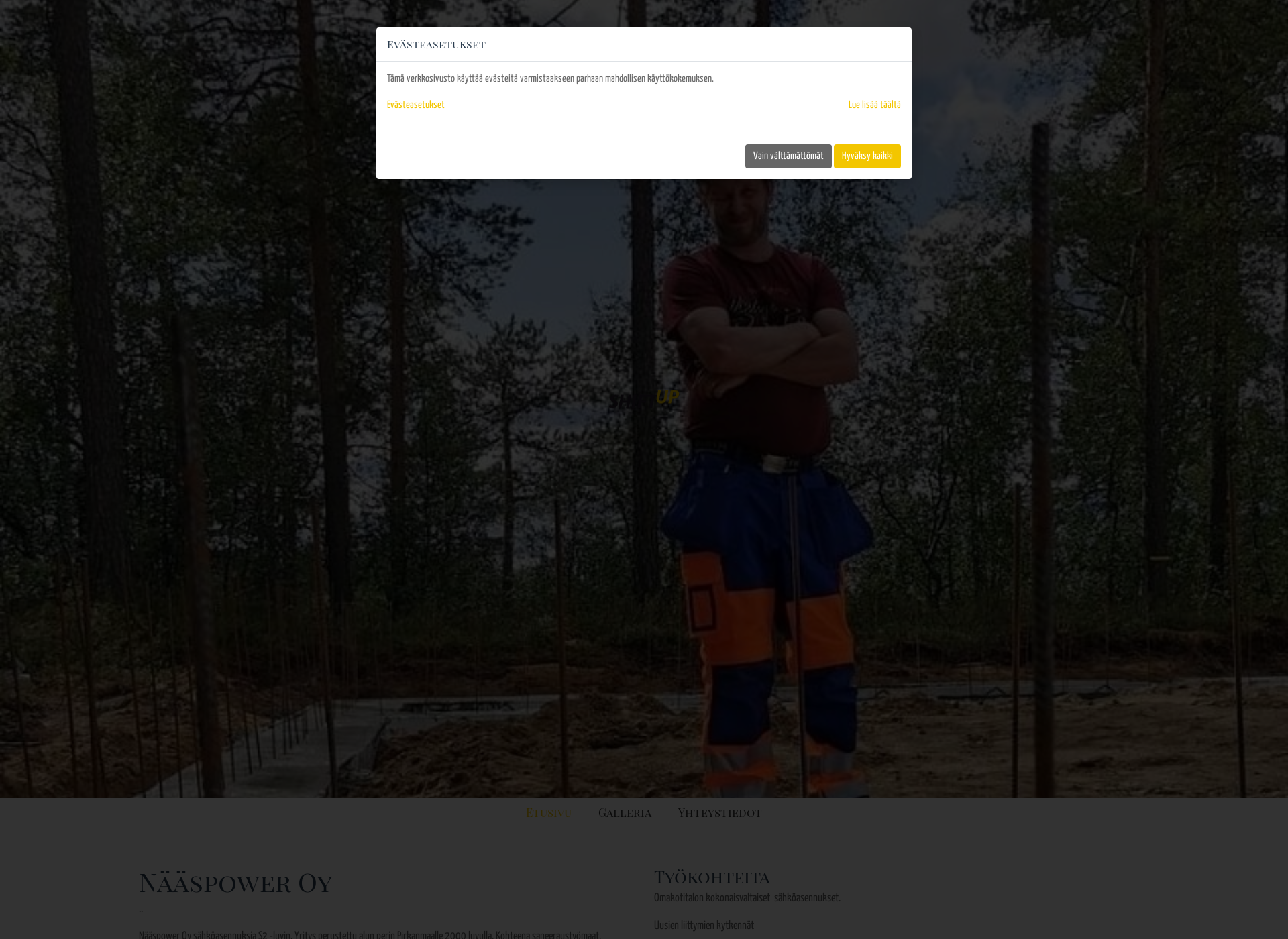 Skärmdump för naaspower.fi