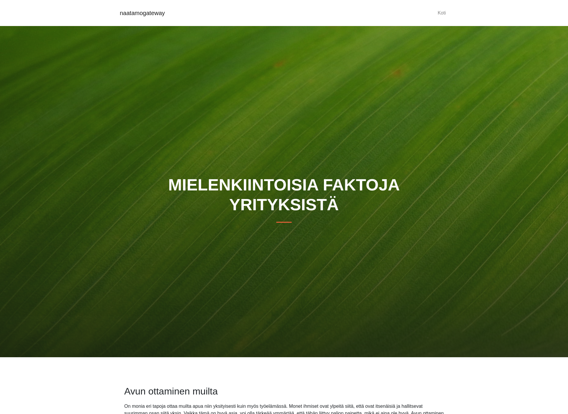 Skärmdump för naatamogateway.fi